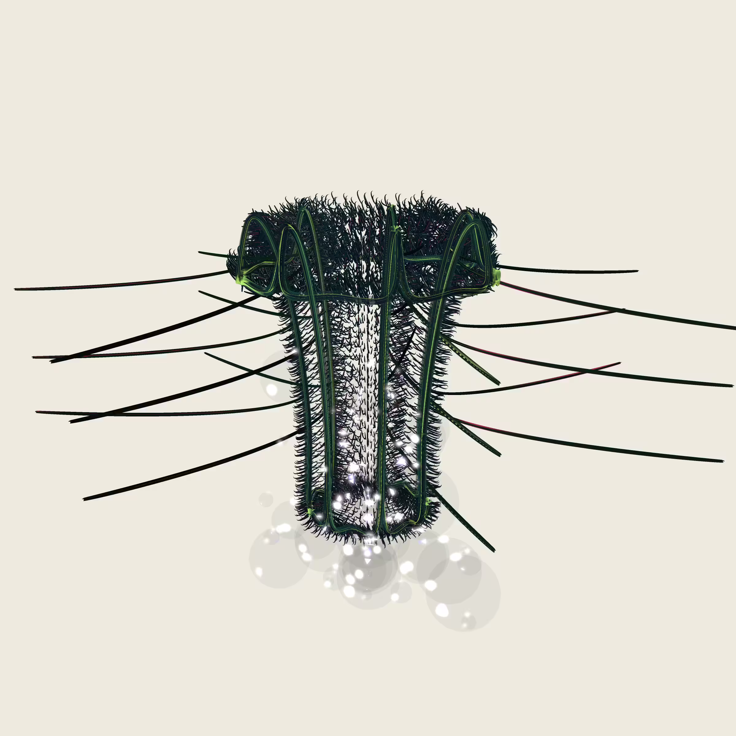 Lycorises #71
