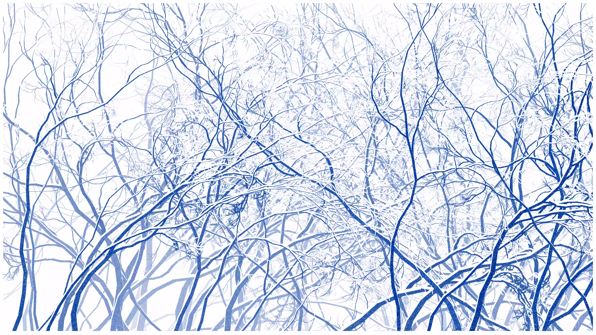SCHNEEWALD #141