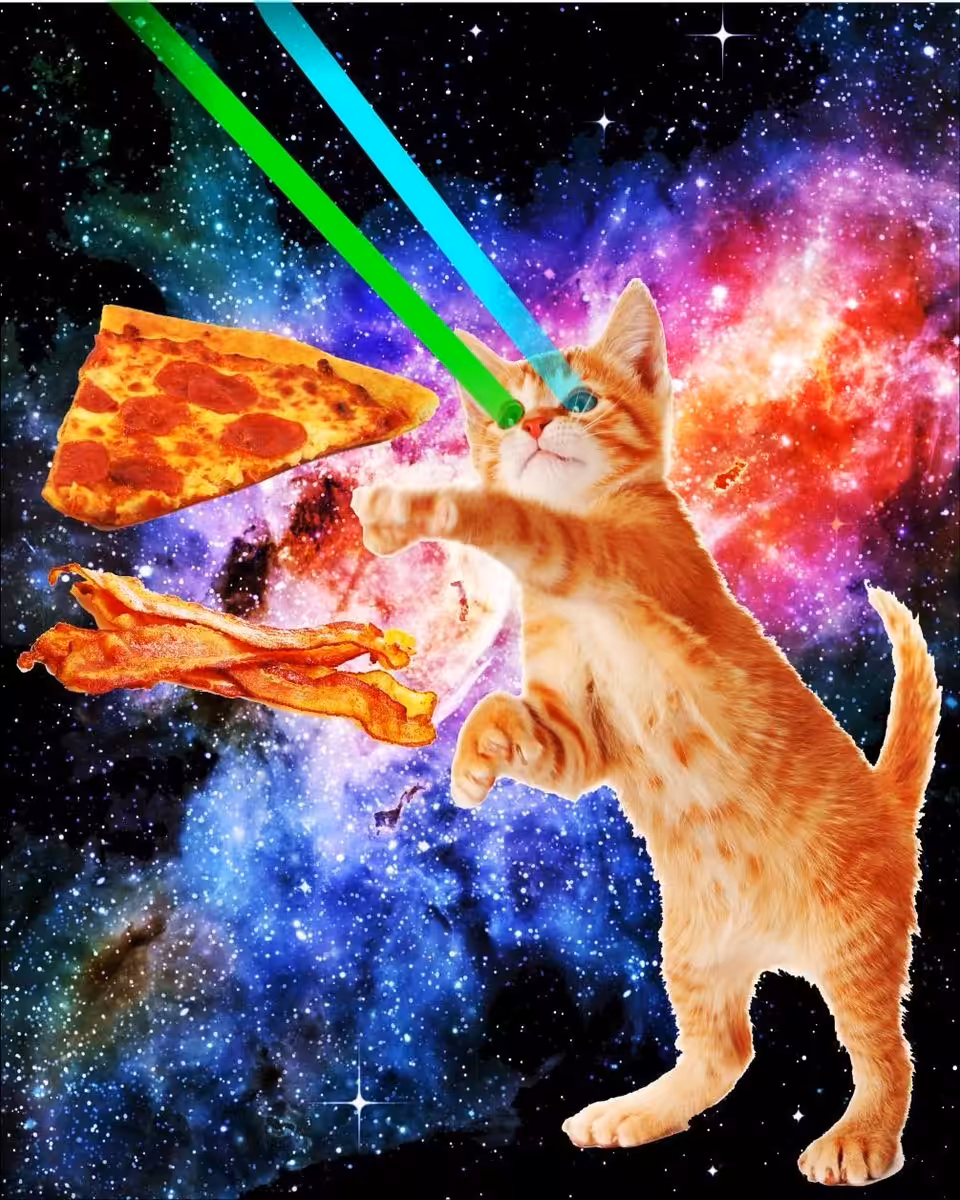 Space Cat Pizza #1 - PizzaPizzazz