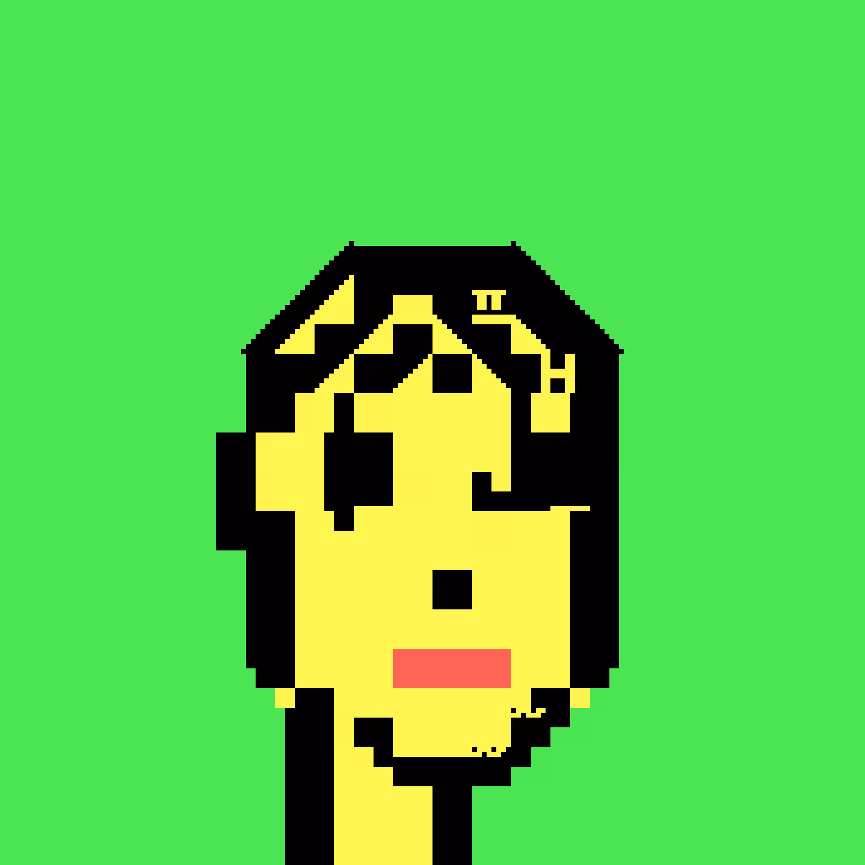 ASCII Punk 456