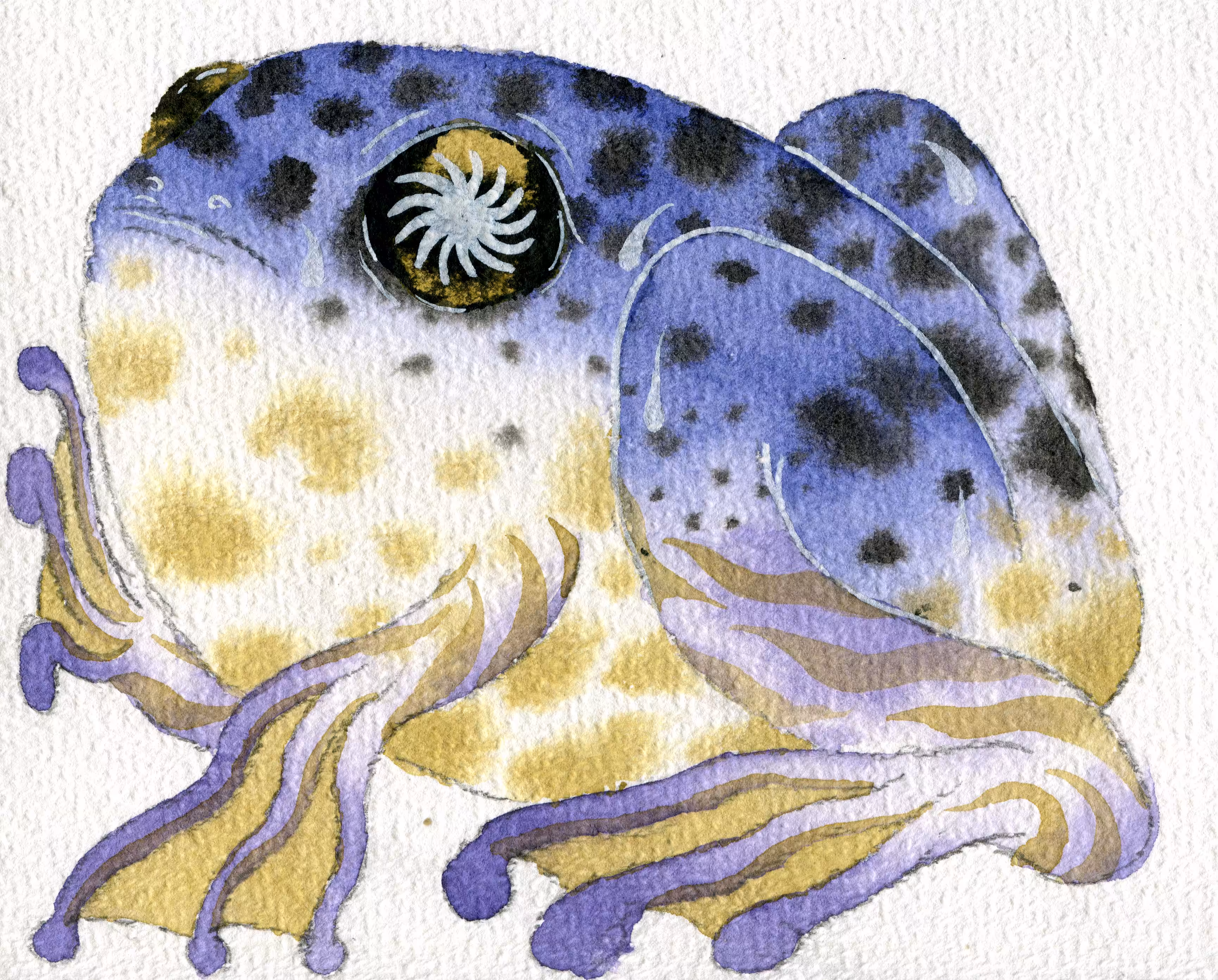 yoyo frog