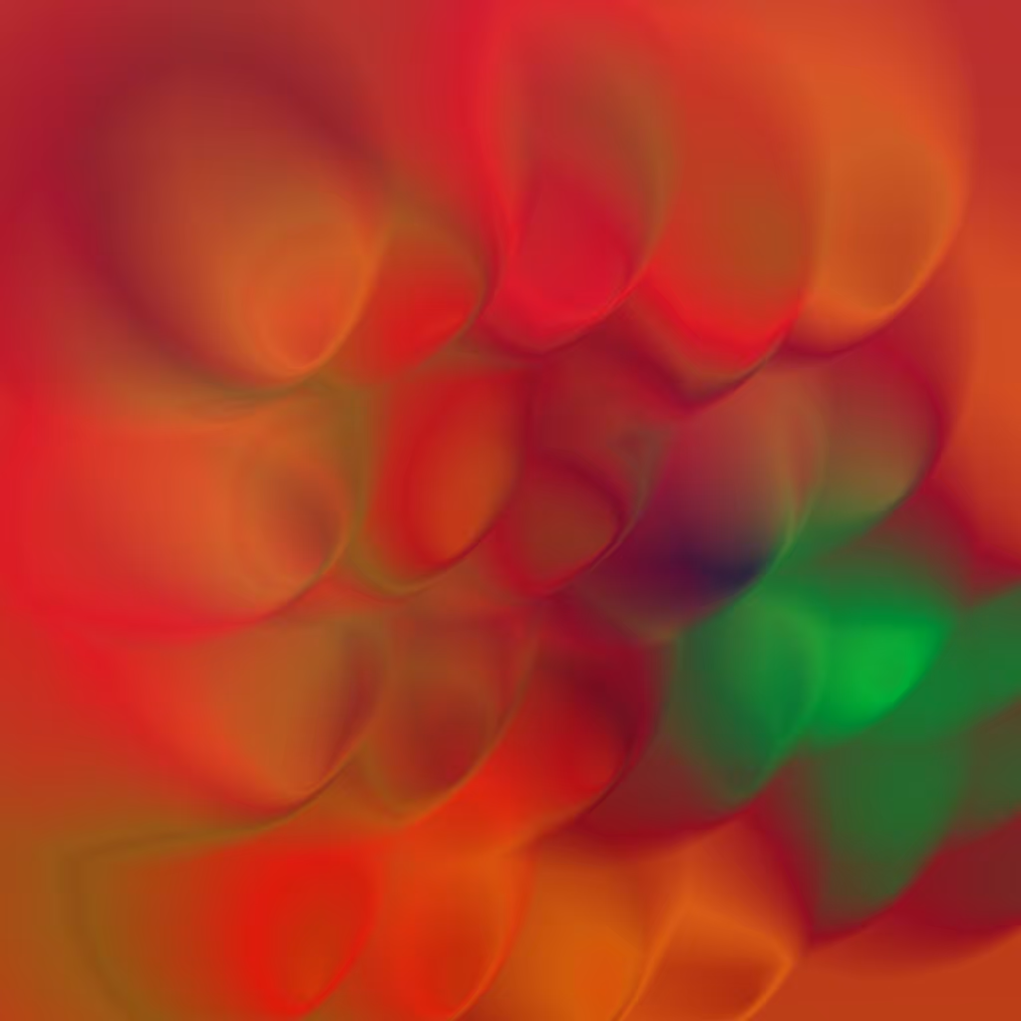 Transition: Omnidimensional #36