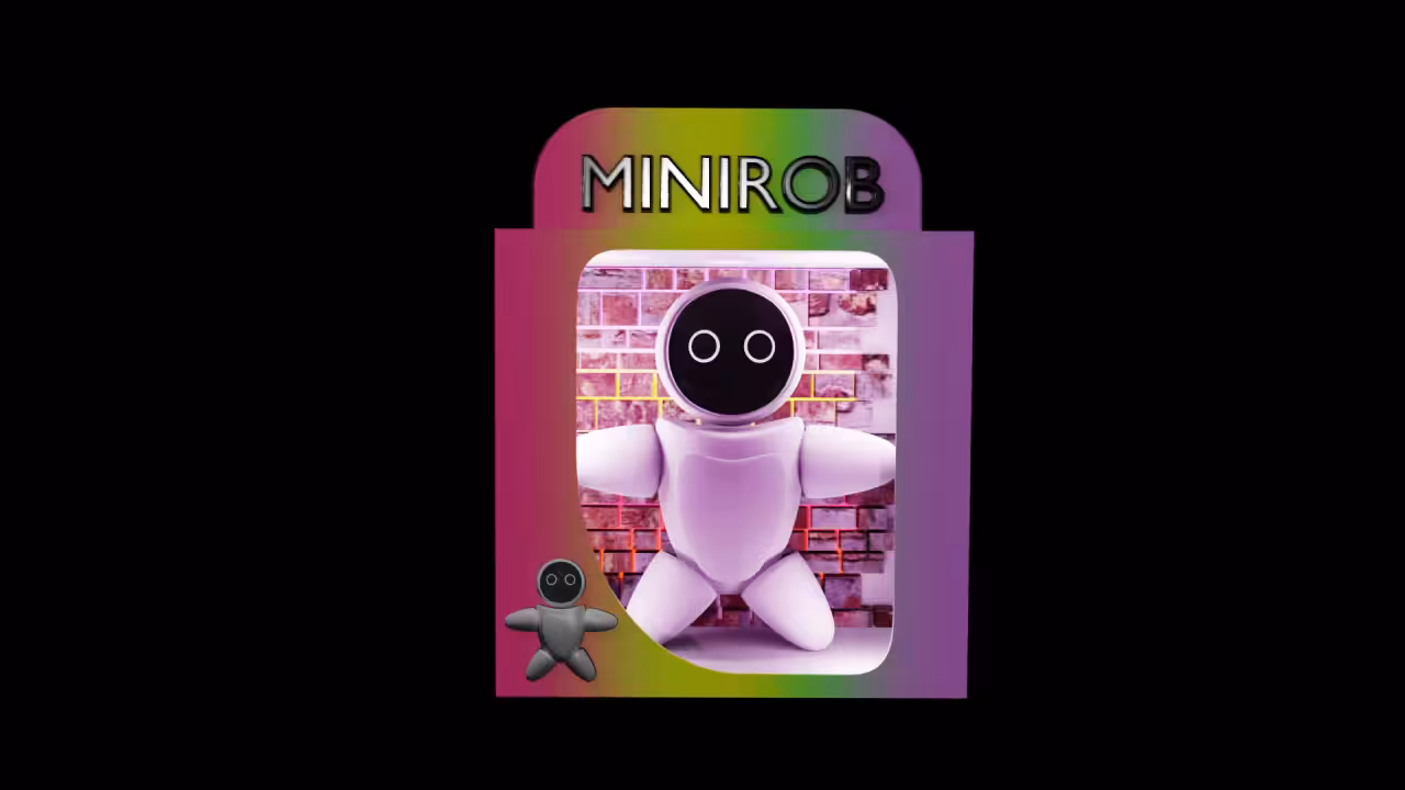01 - MINIROB (ALPERAYM)