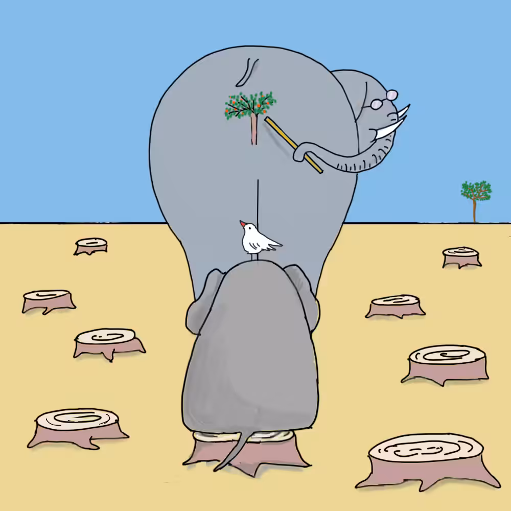 Elephant school #6