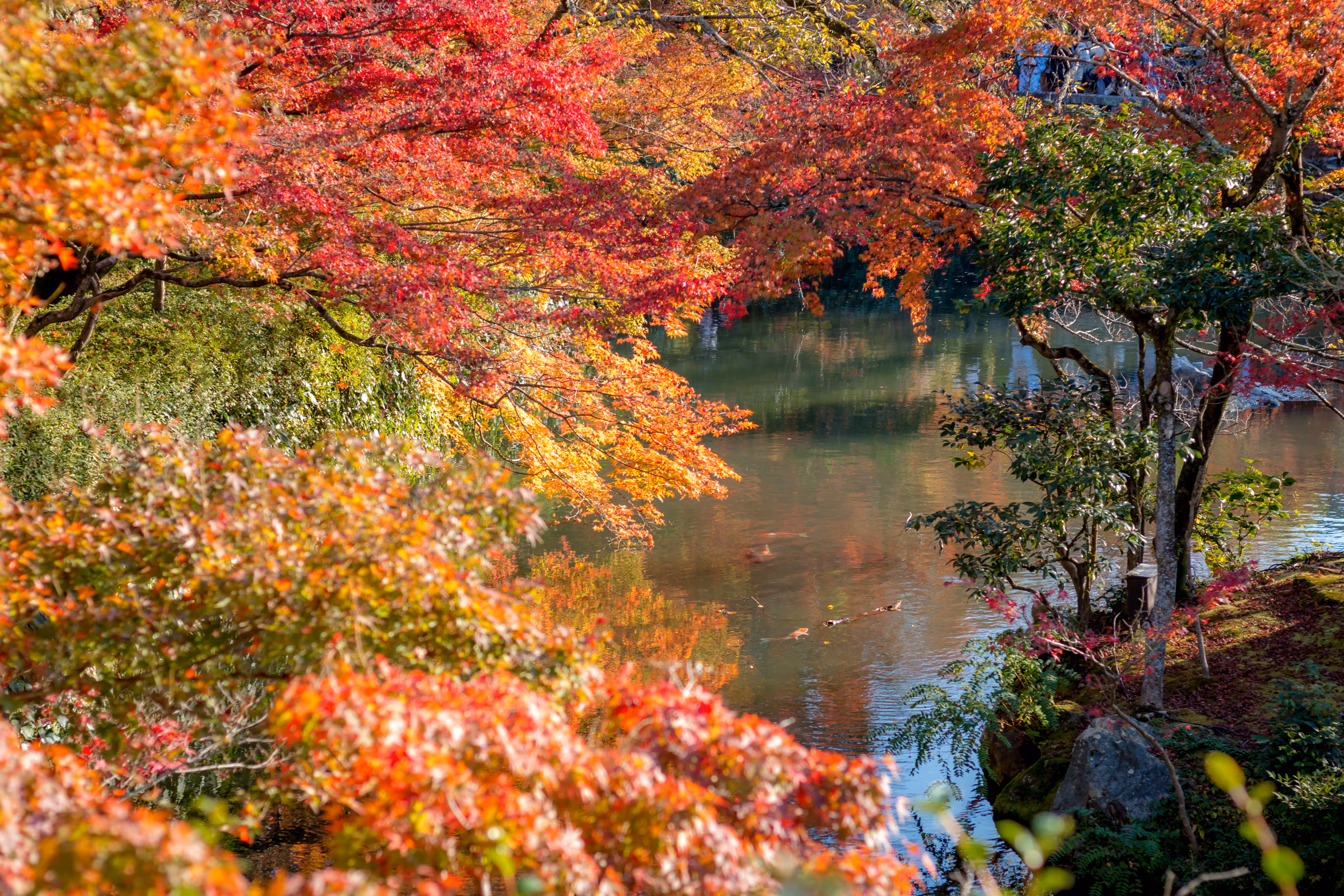 EP.3 Momiji-20112015
