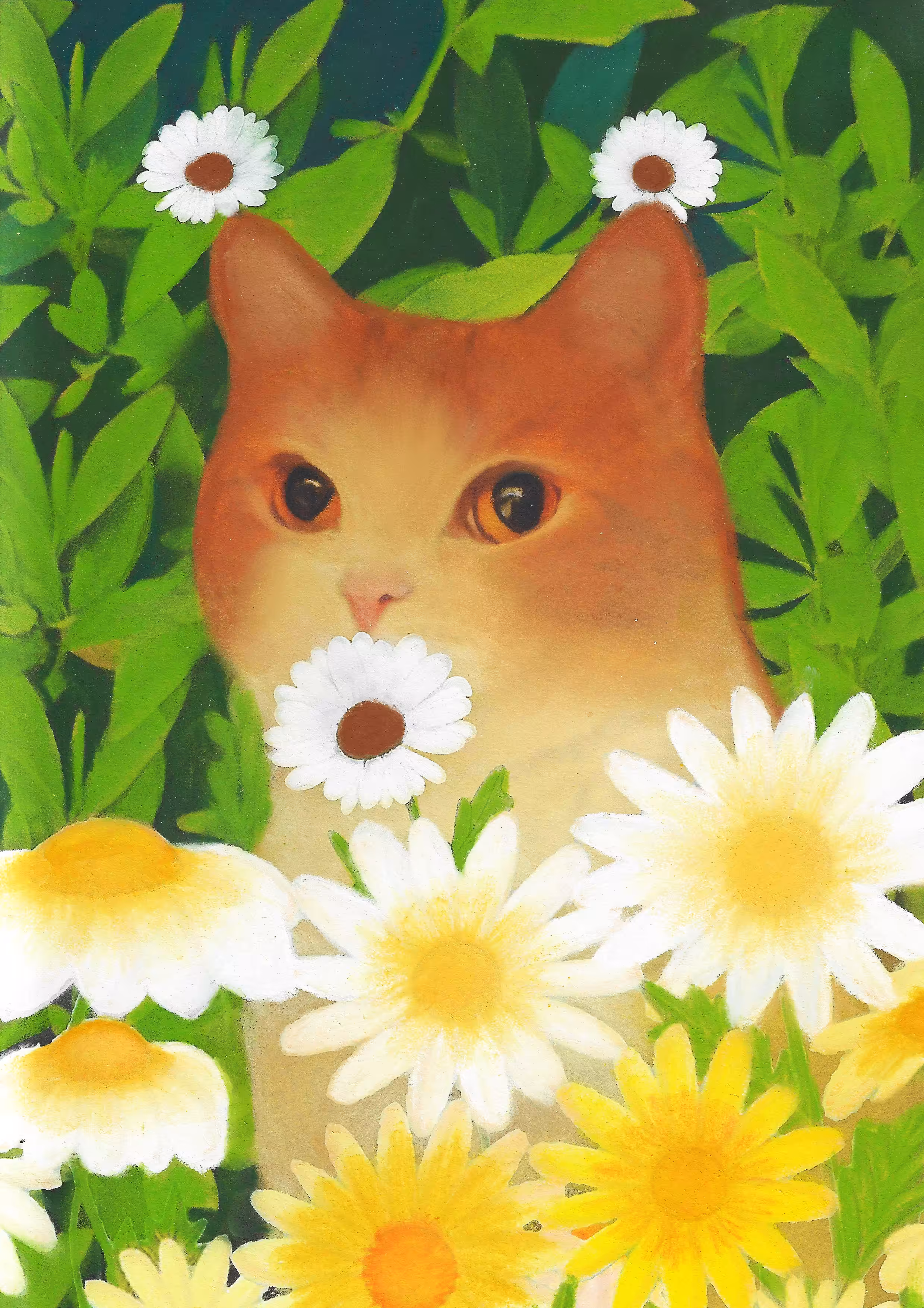 Daisy