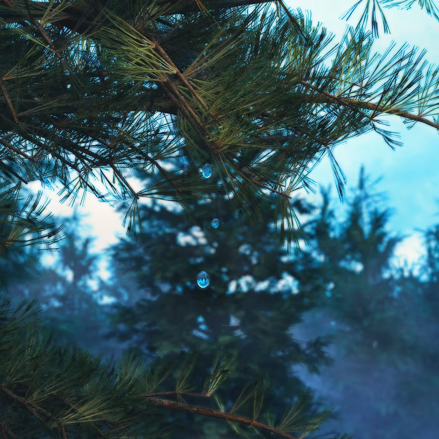 MIMESIS FOREST: PARALLAX