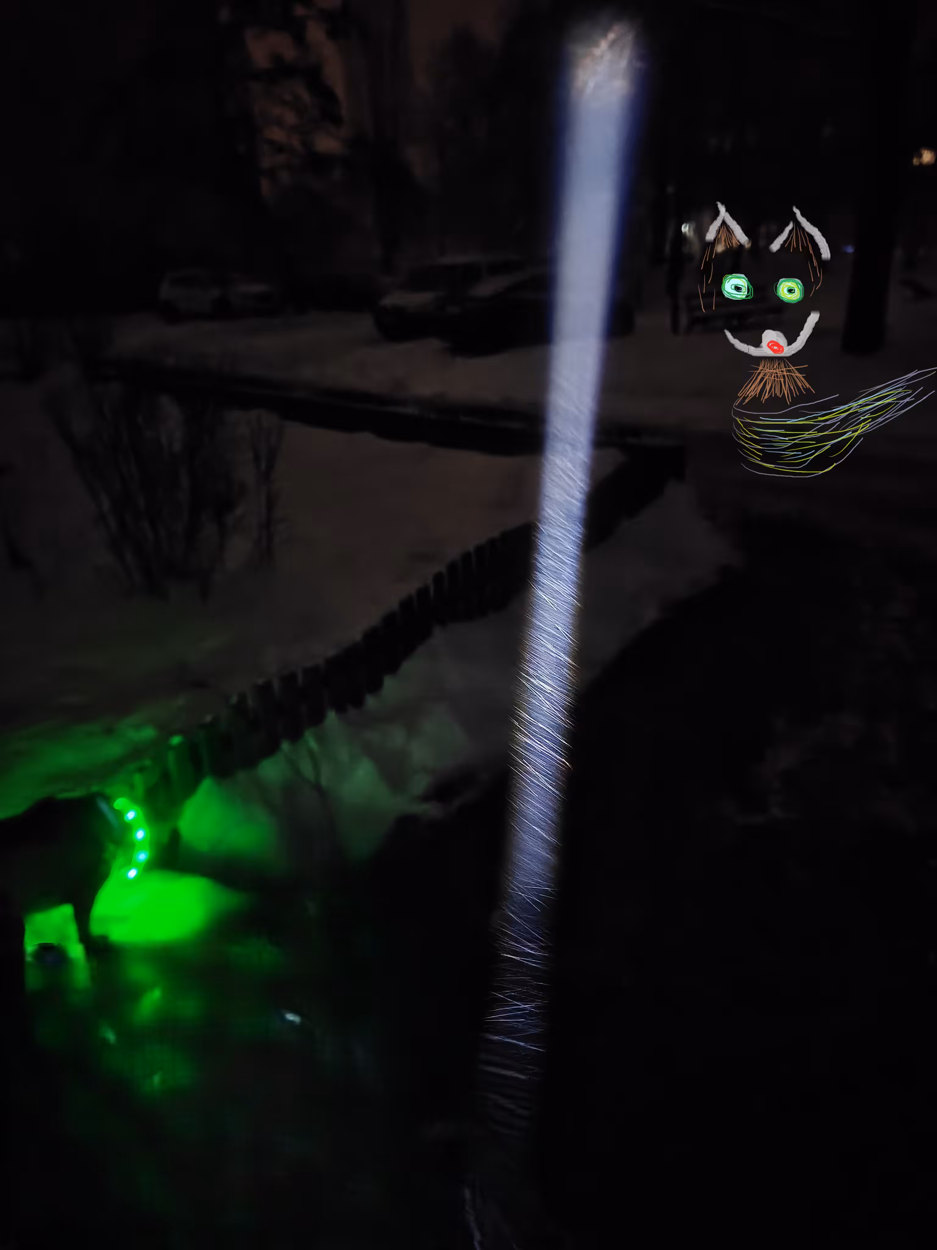 Nocturnal creatures#5
