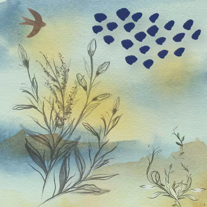 Remember Nature #12