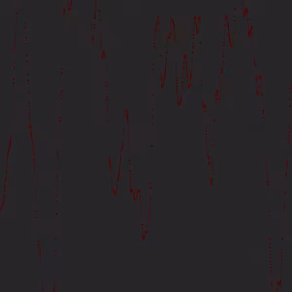 ANIMUS #6