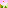 Forest Trees