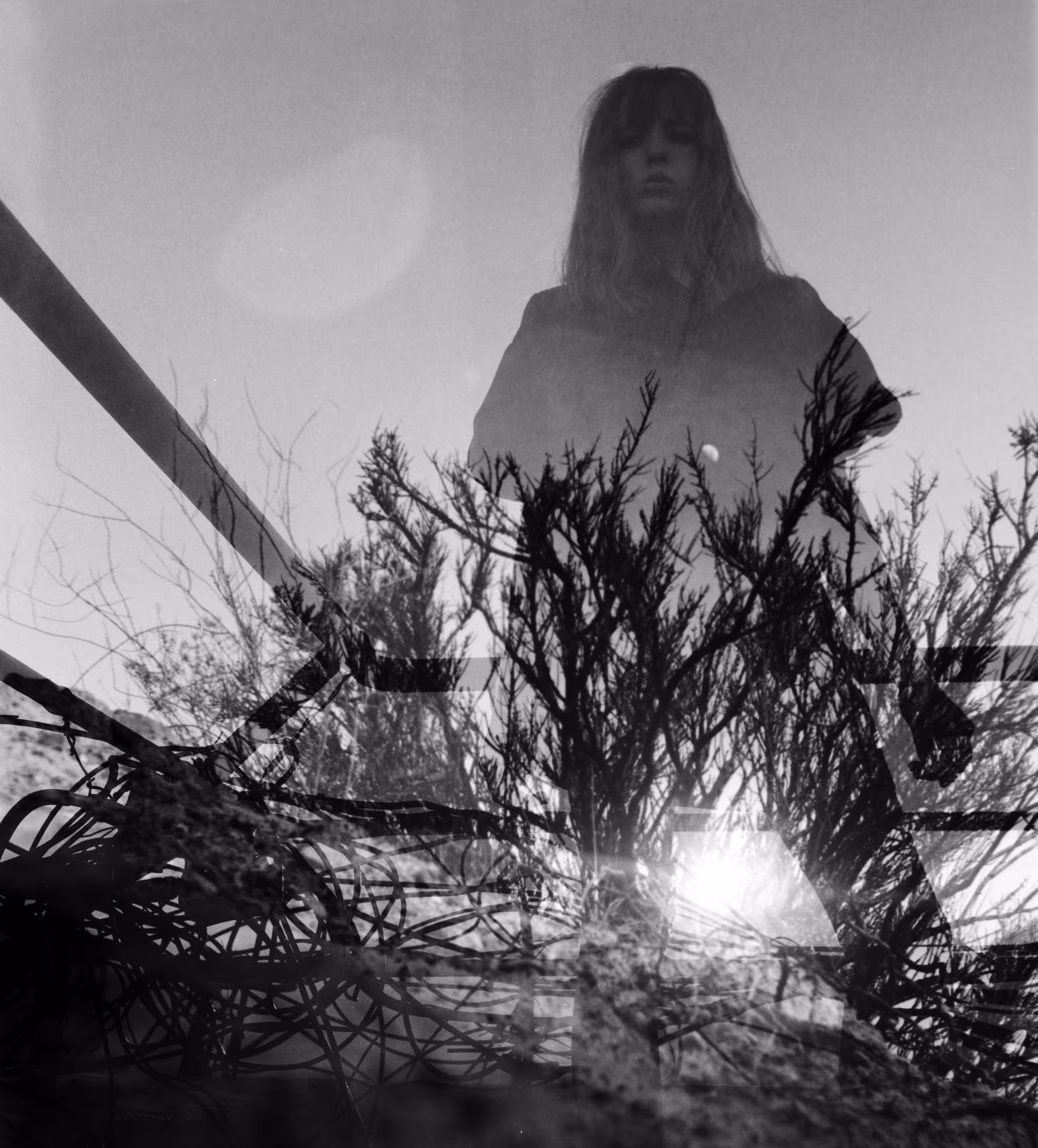 Rhizome //03