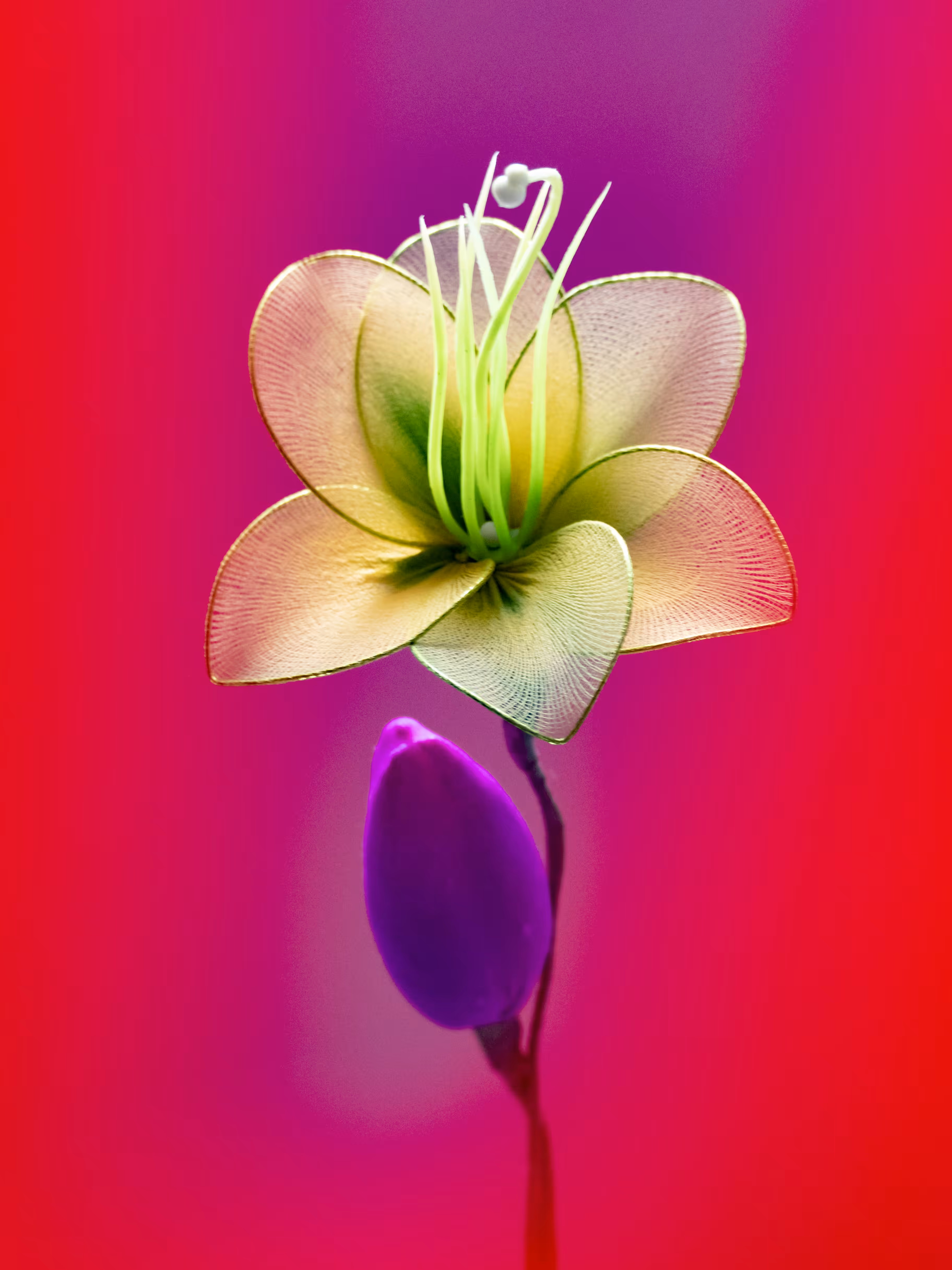 Flower.4