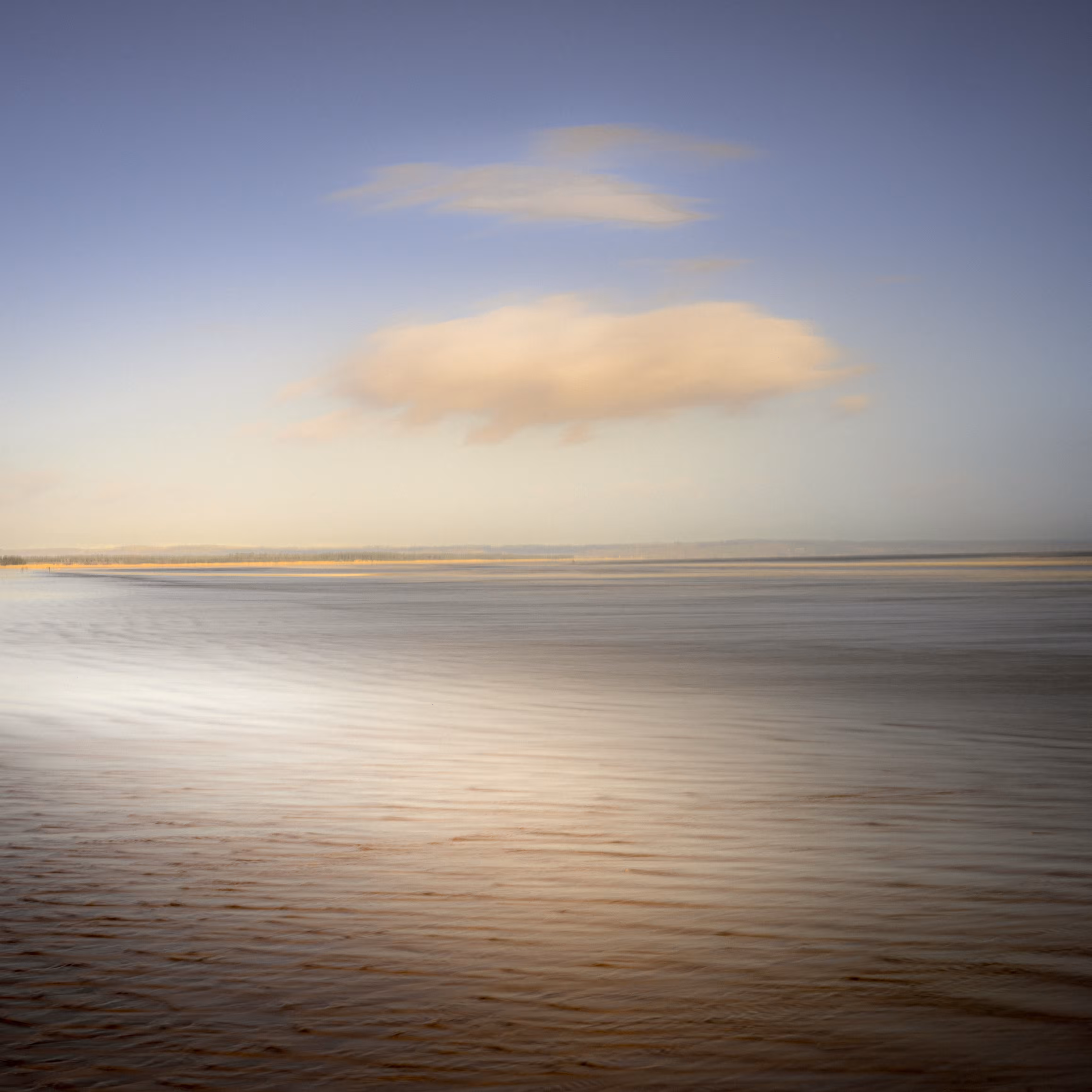 Sea, Salt and Lemon Drops