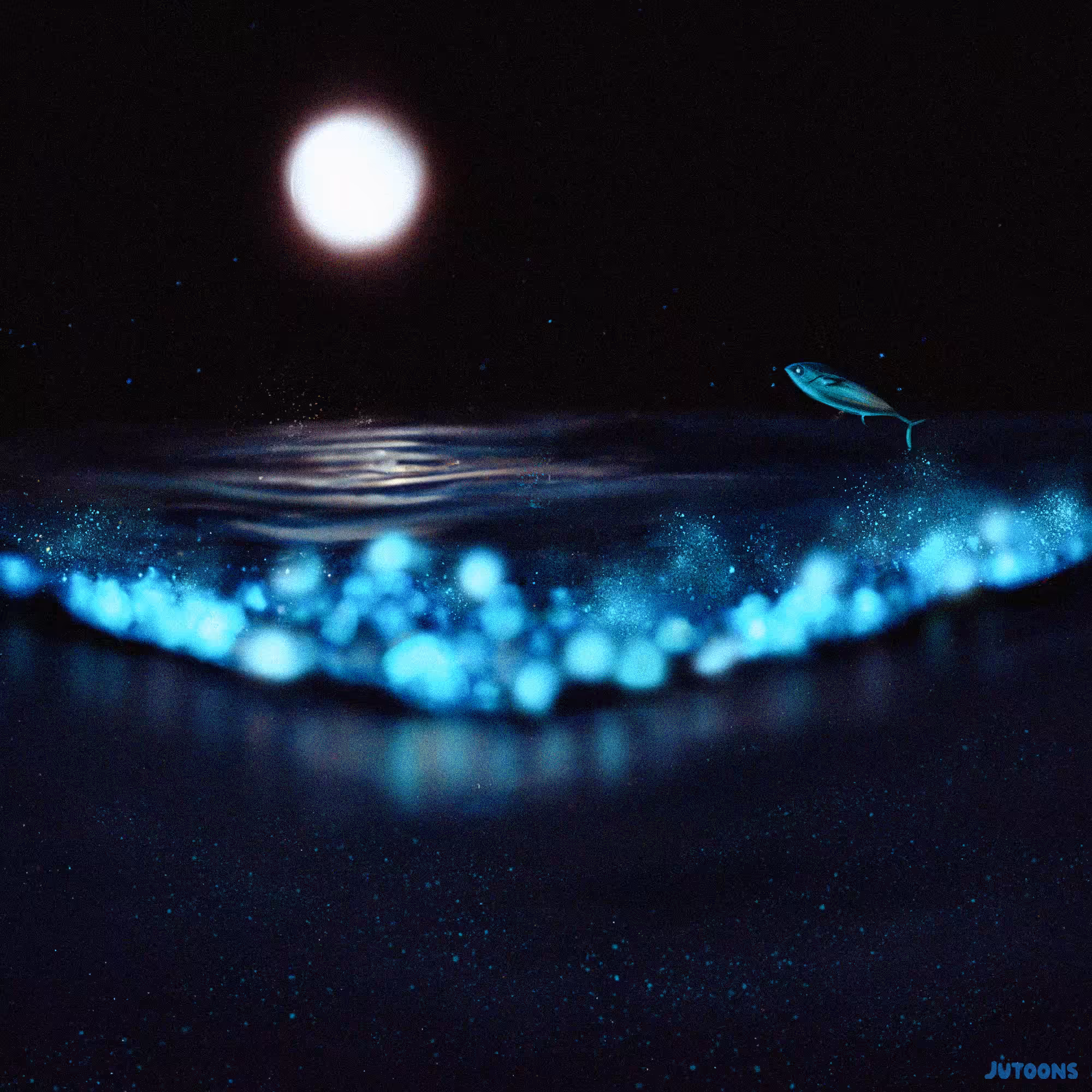 Mystic Night
