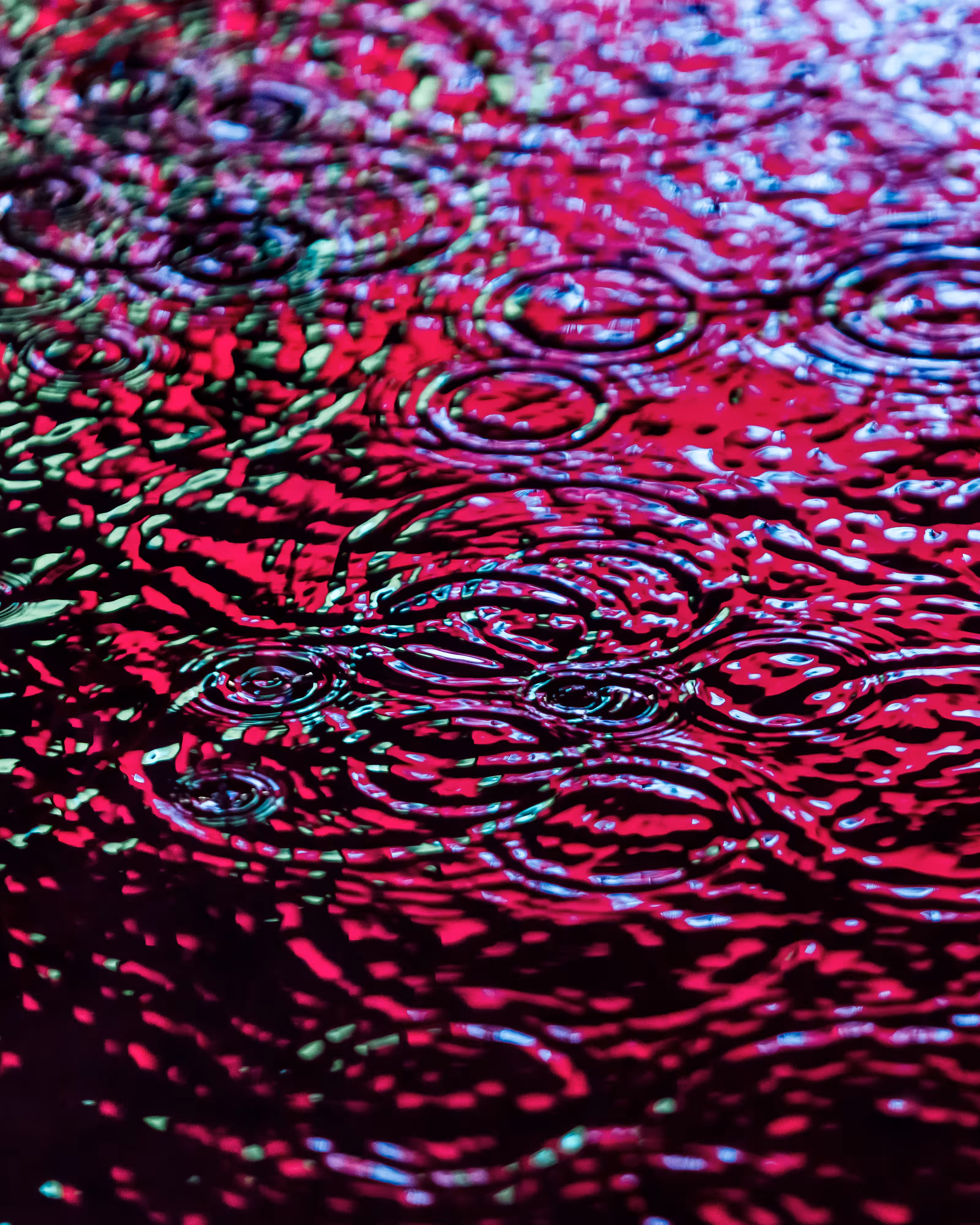 DRIP #264