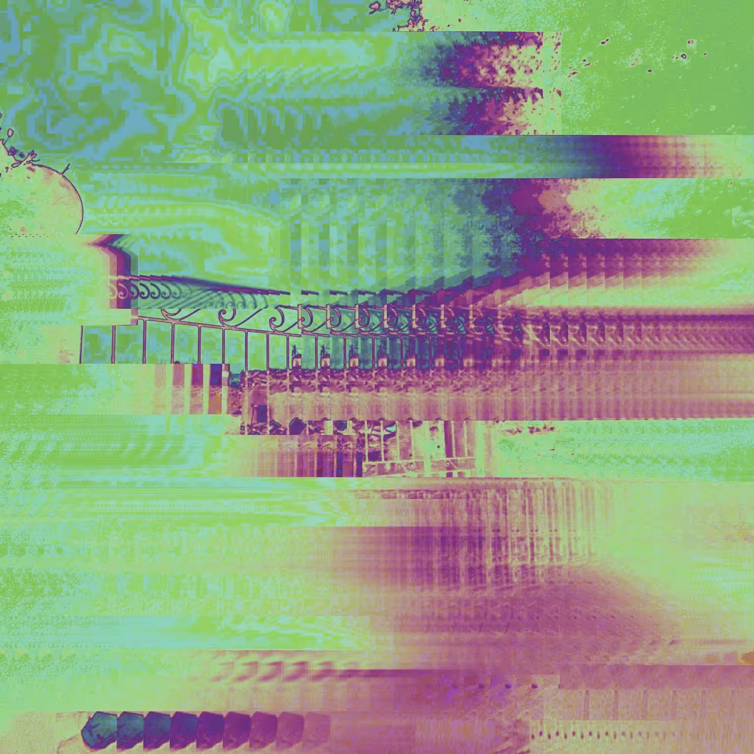IMG/5049