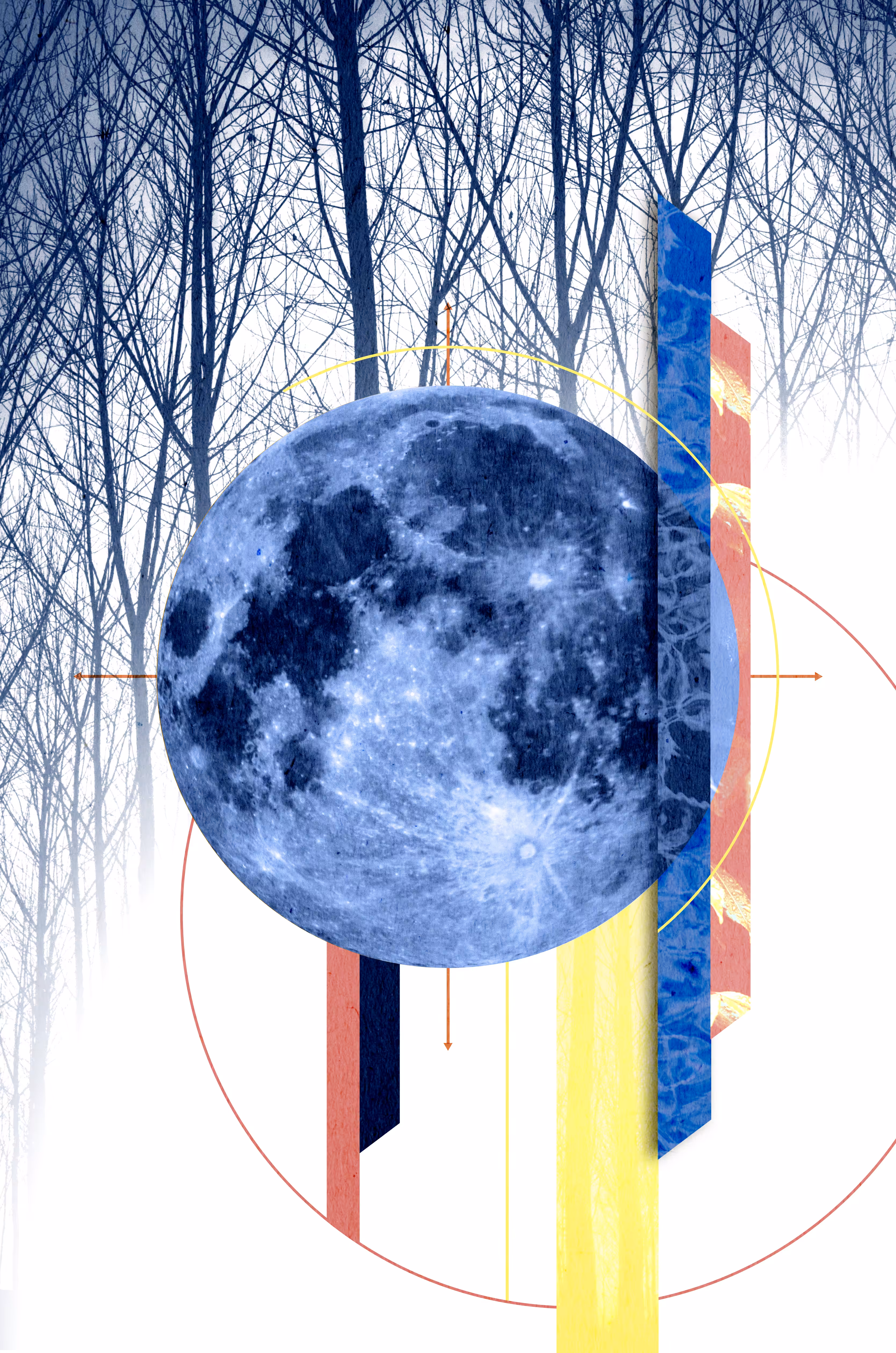 Blue Moon Forest
