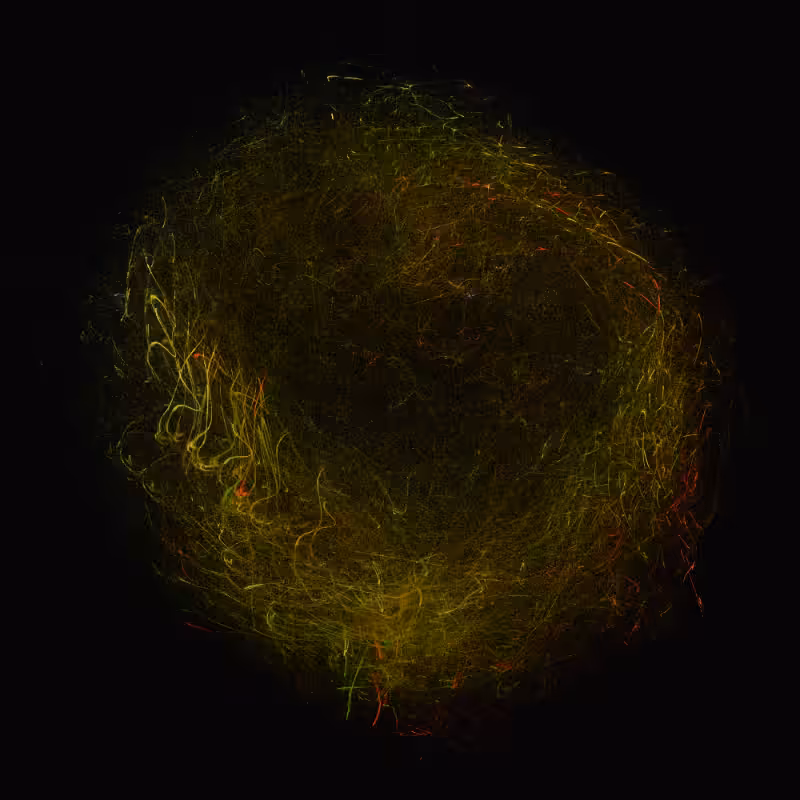 balls in vector fields #72
