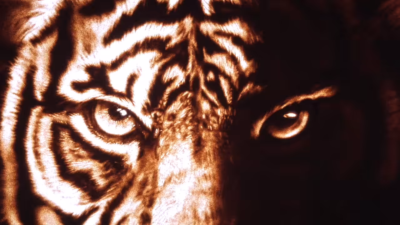 Charismatic Tiger