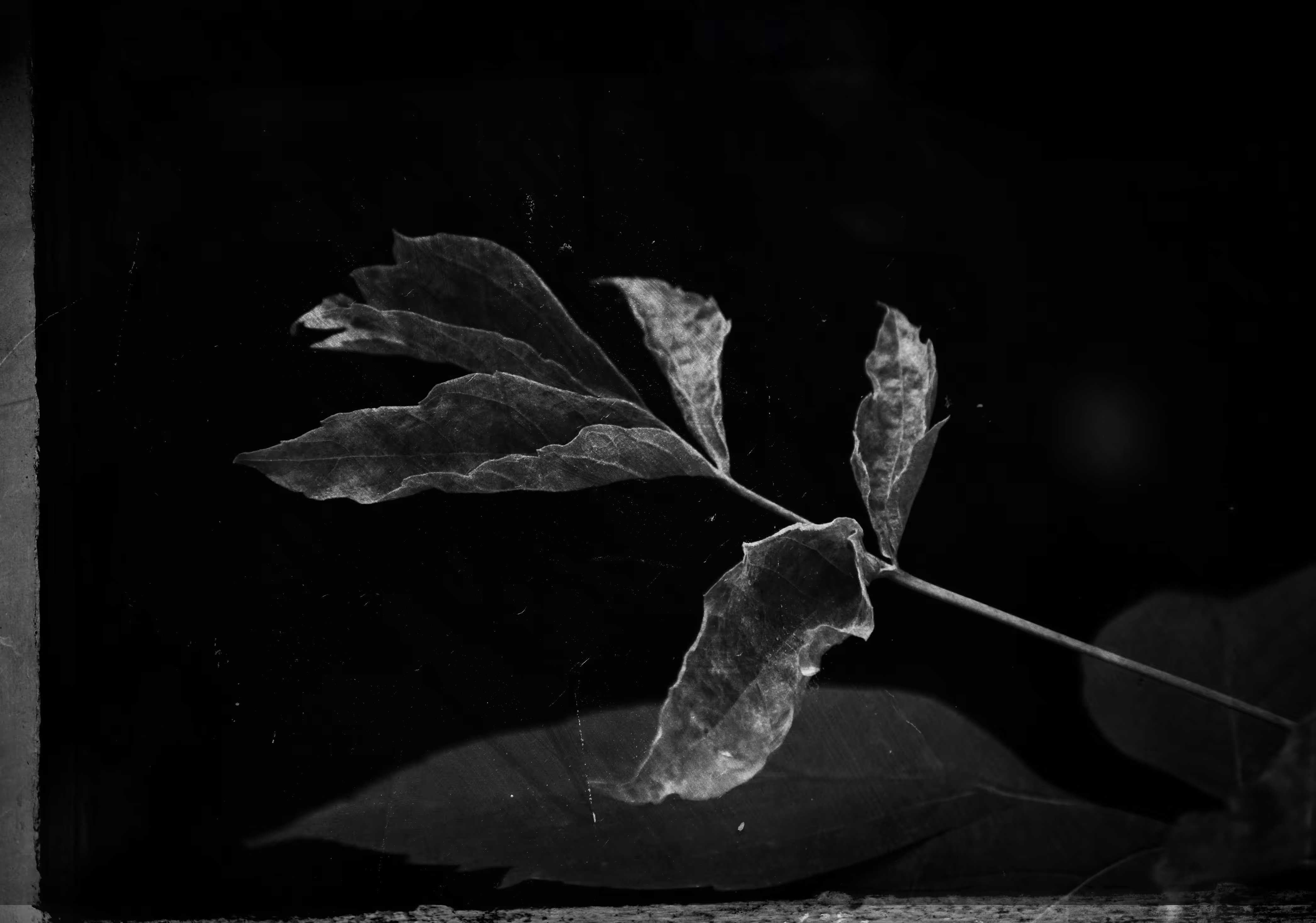 Gesture 03