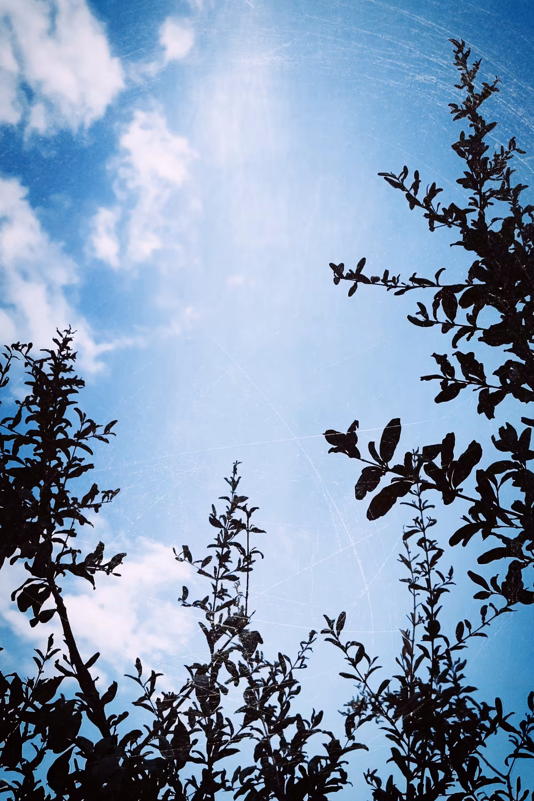 Blue Sky 