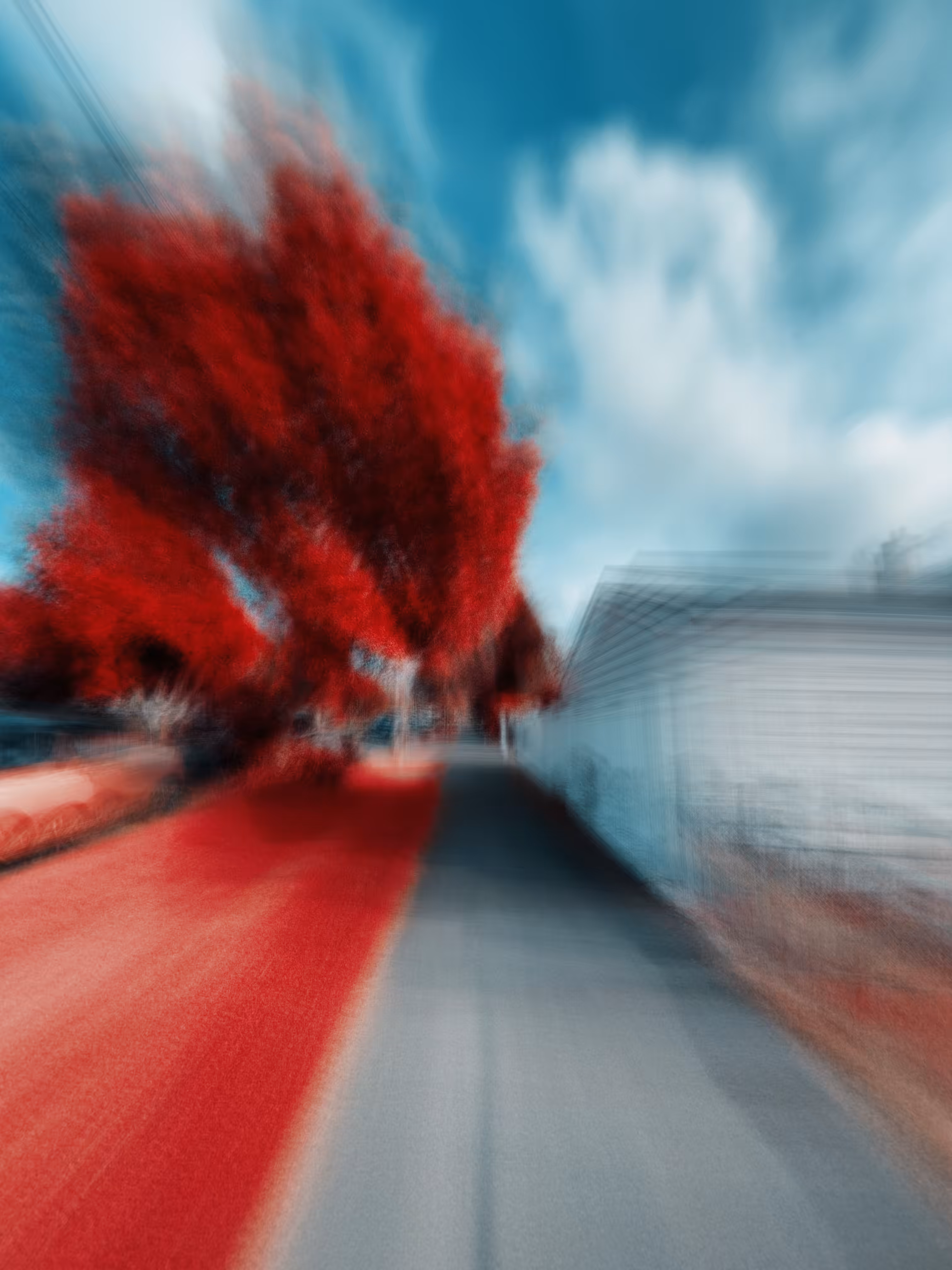 Thank You (in red)