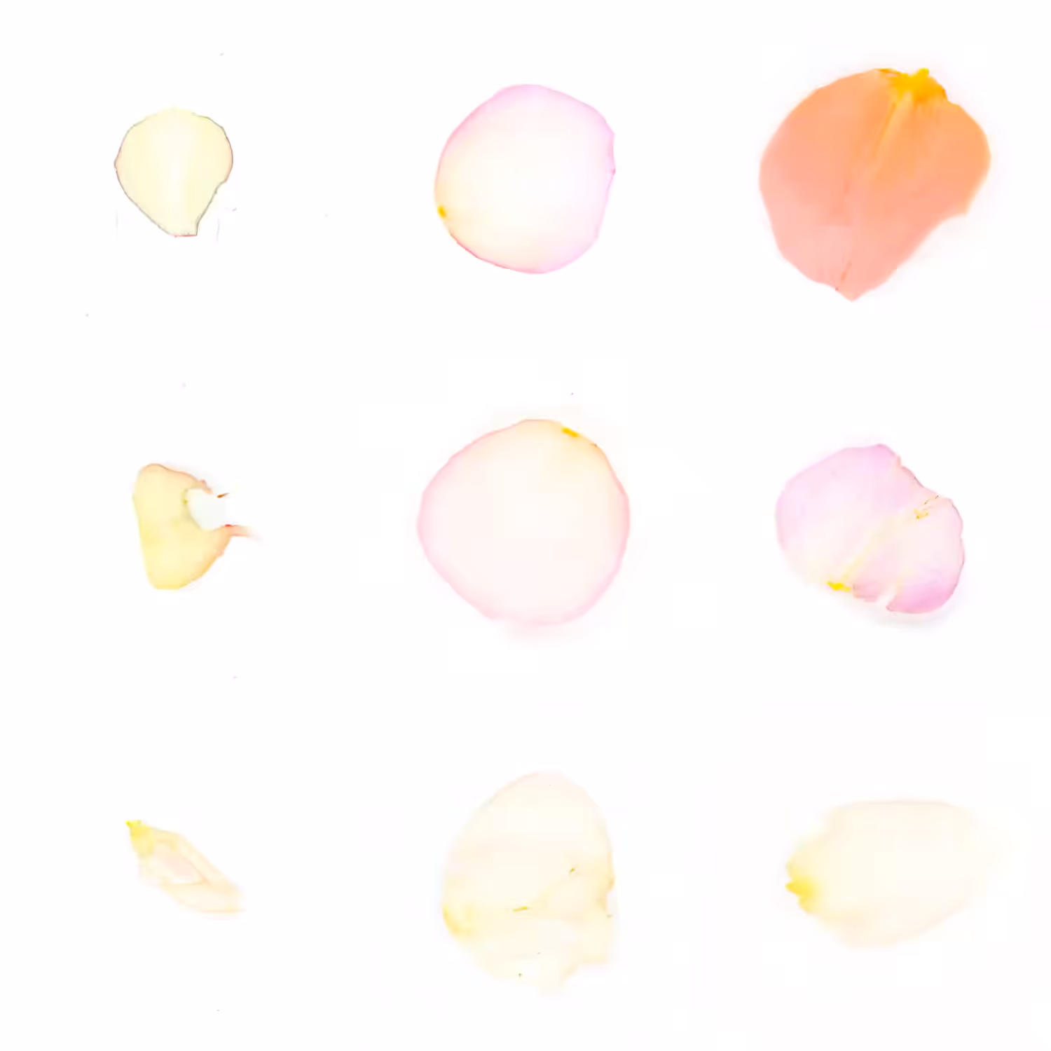 Infinite Petals 3x3#3871