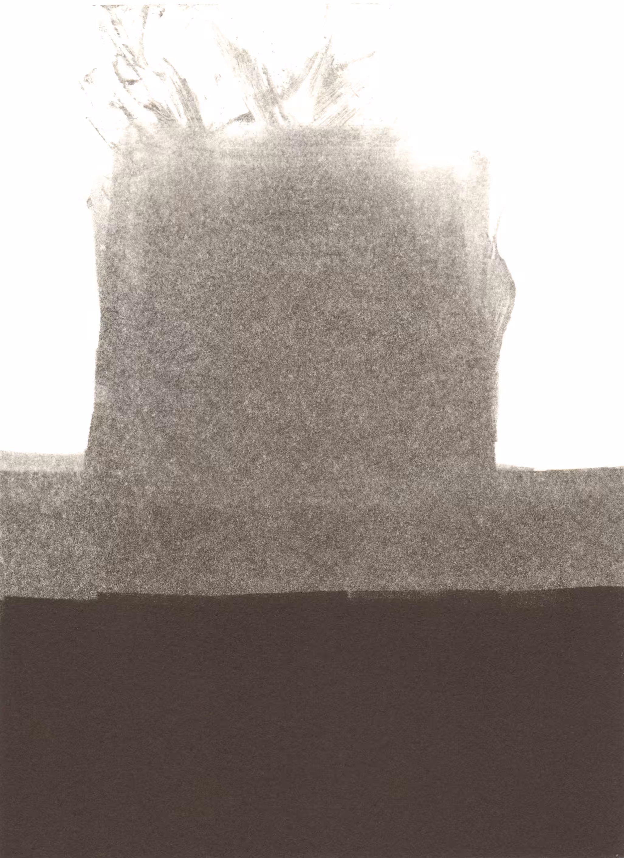 blossom-006