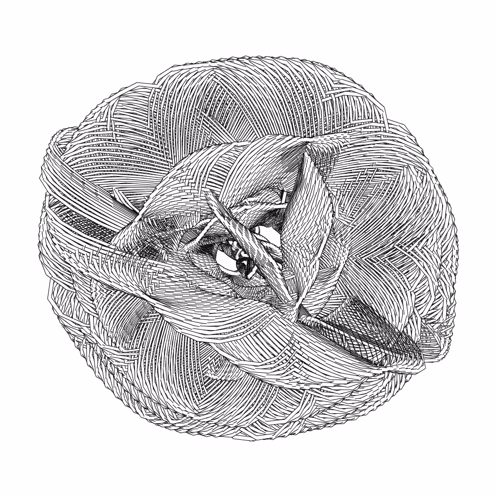 LL21 Entangled (3) #578