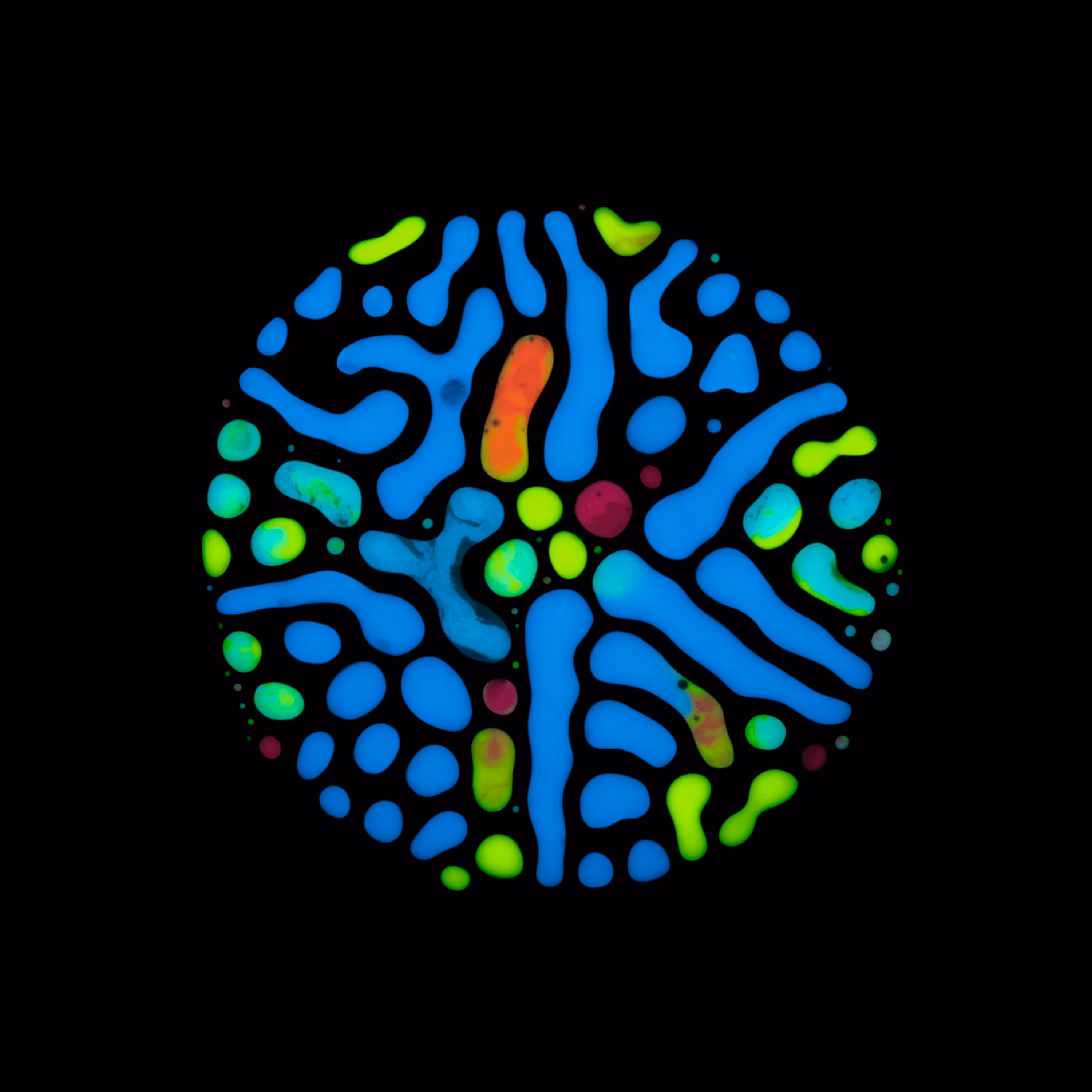 Haematopoiesis #57