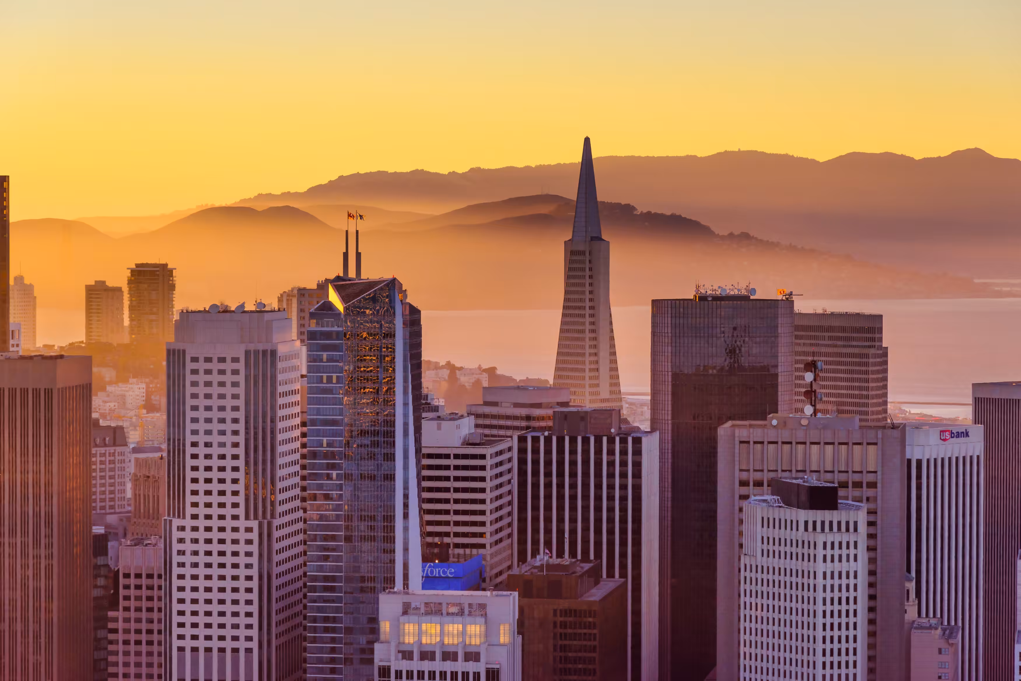 Reflections on the future of the city