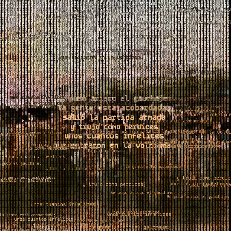 A hacker in the Pampas #45