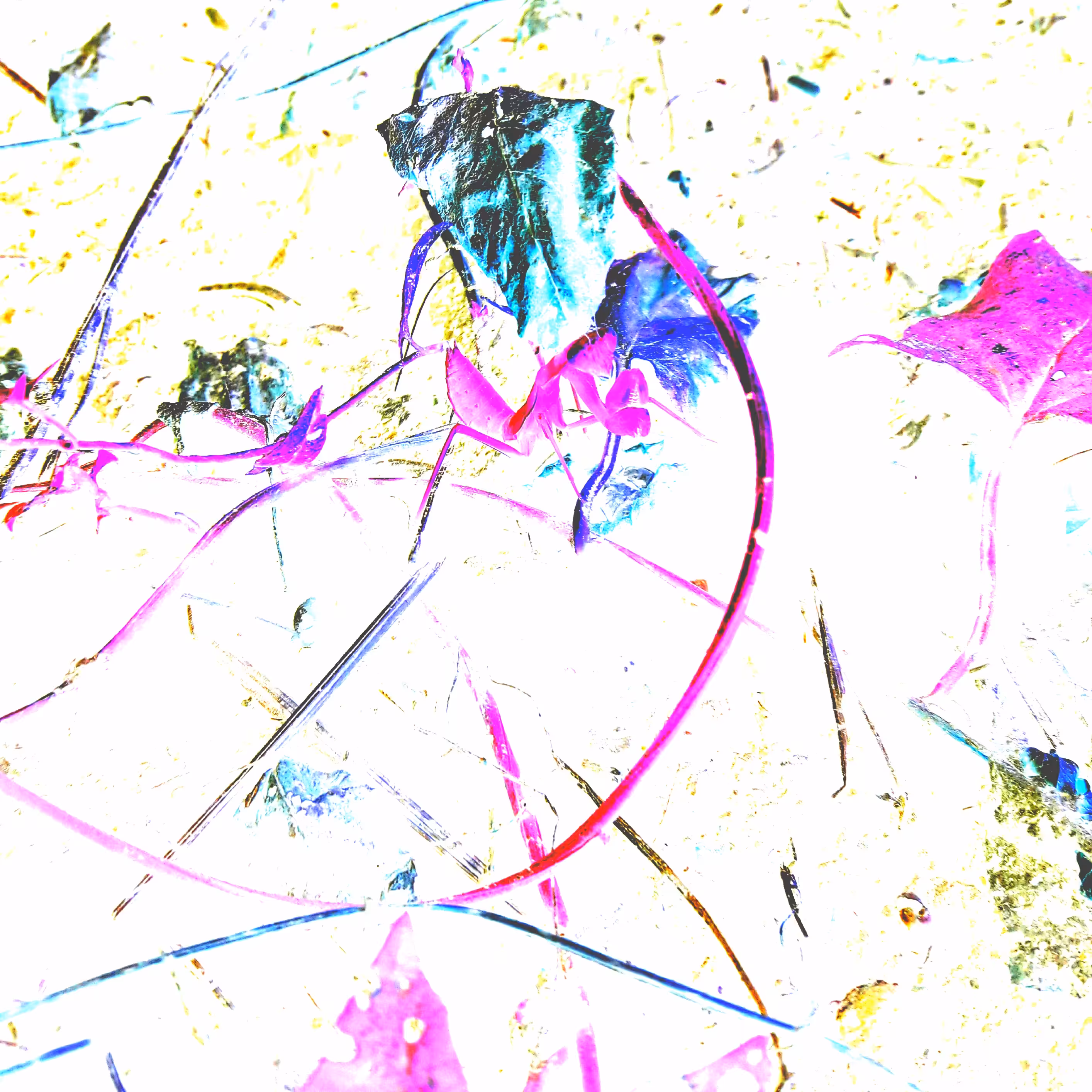 Trip 15