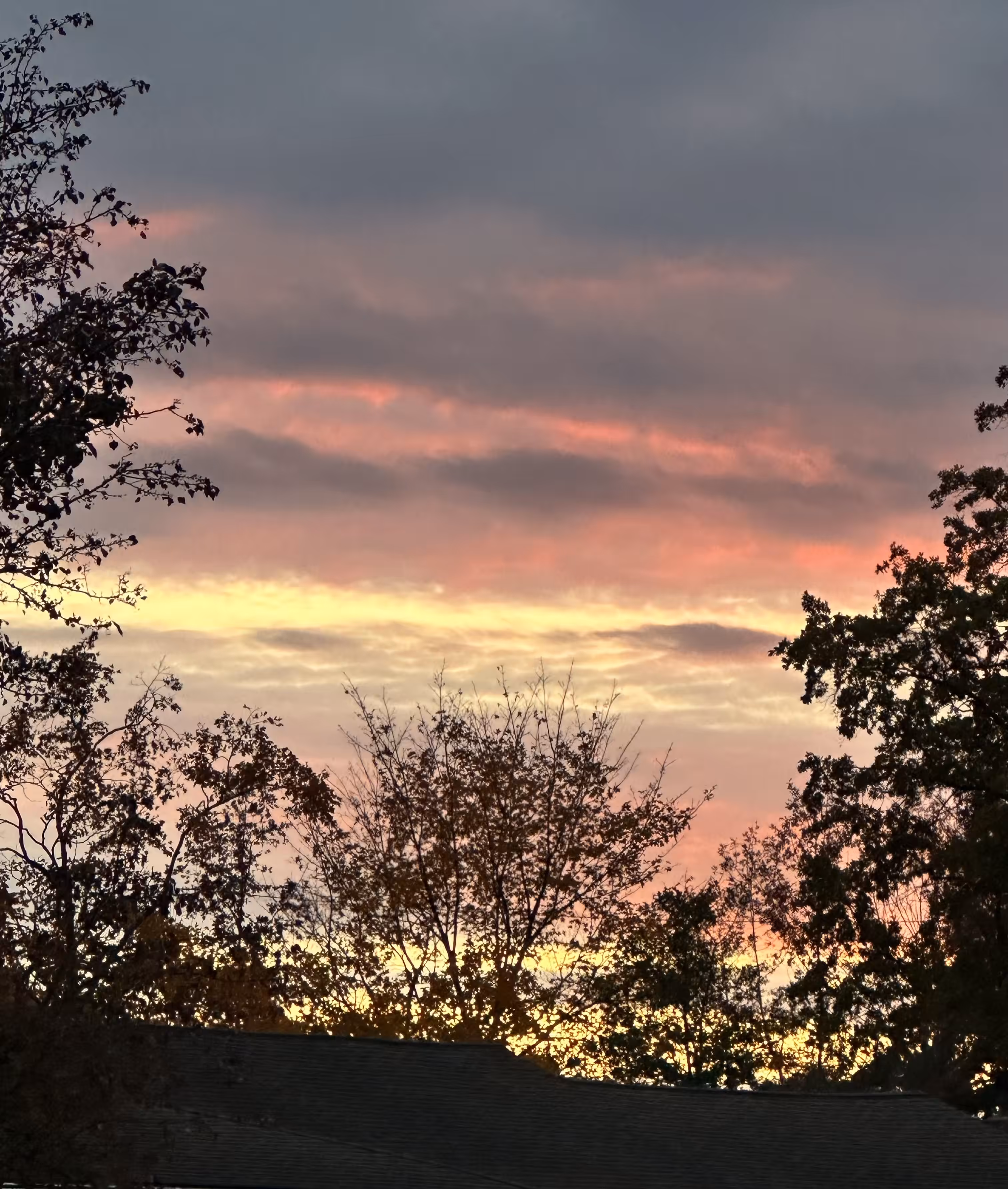 Last Light
