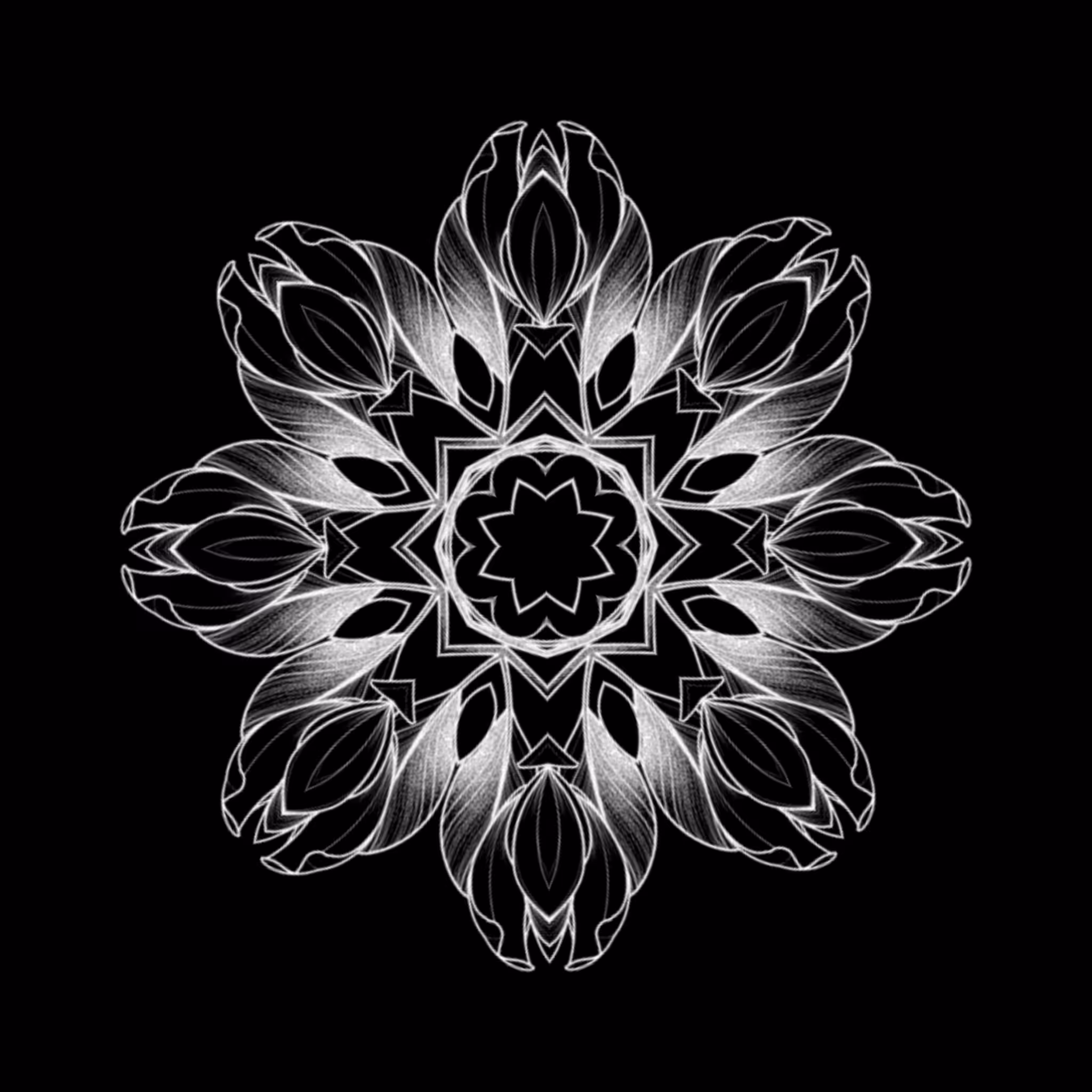 Dark Leaf 15