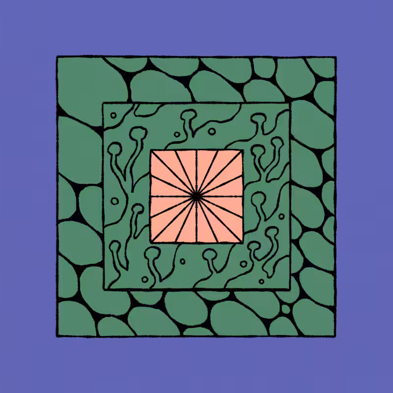 borders #314