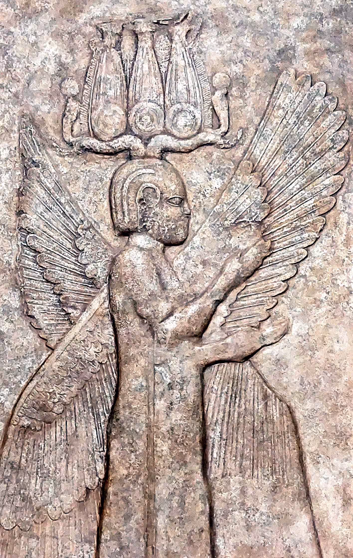 Persepolis no. 11