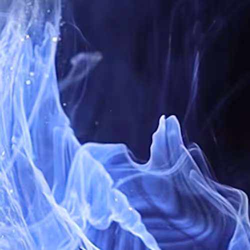 003