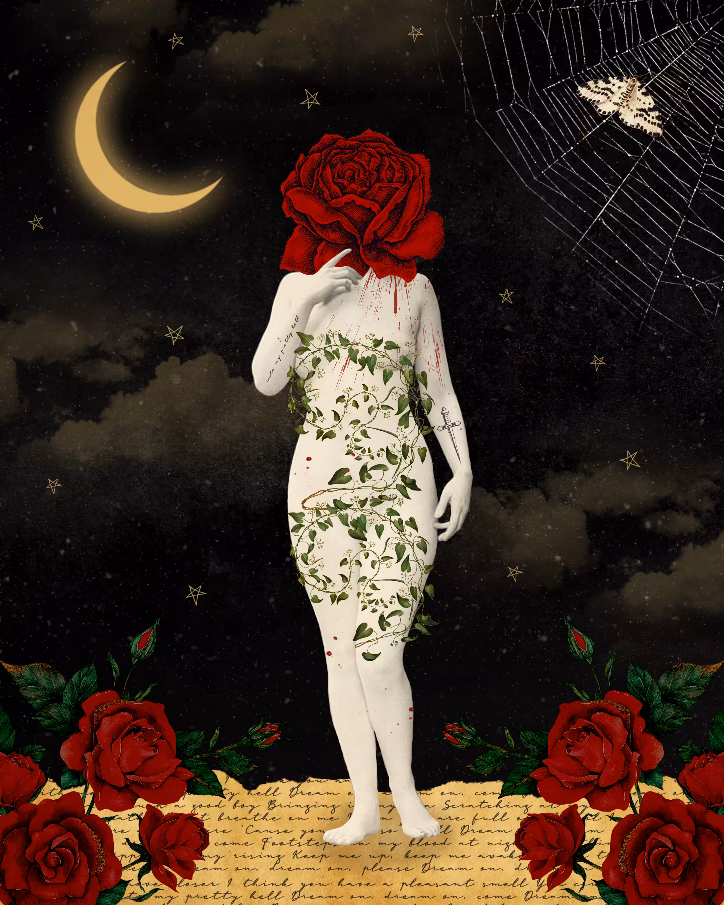 Midnight Rose