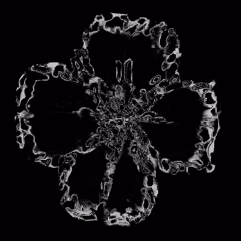 /Clover/