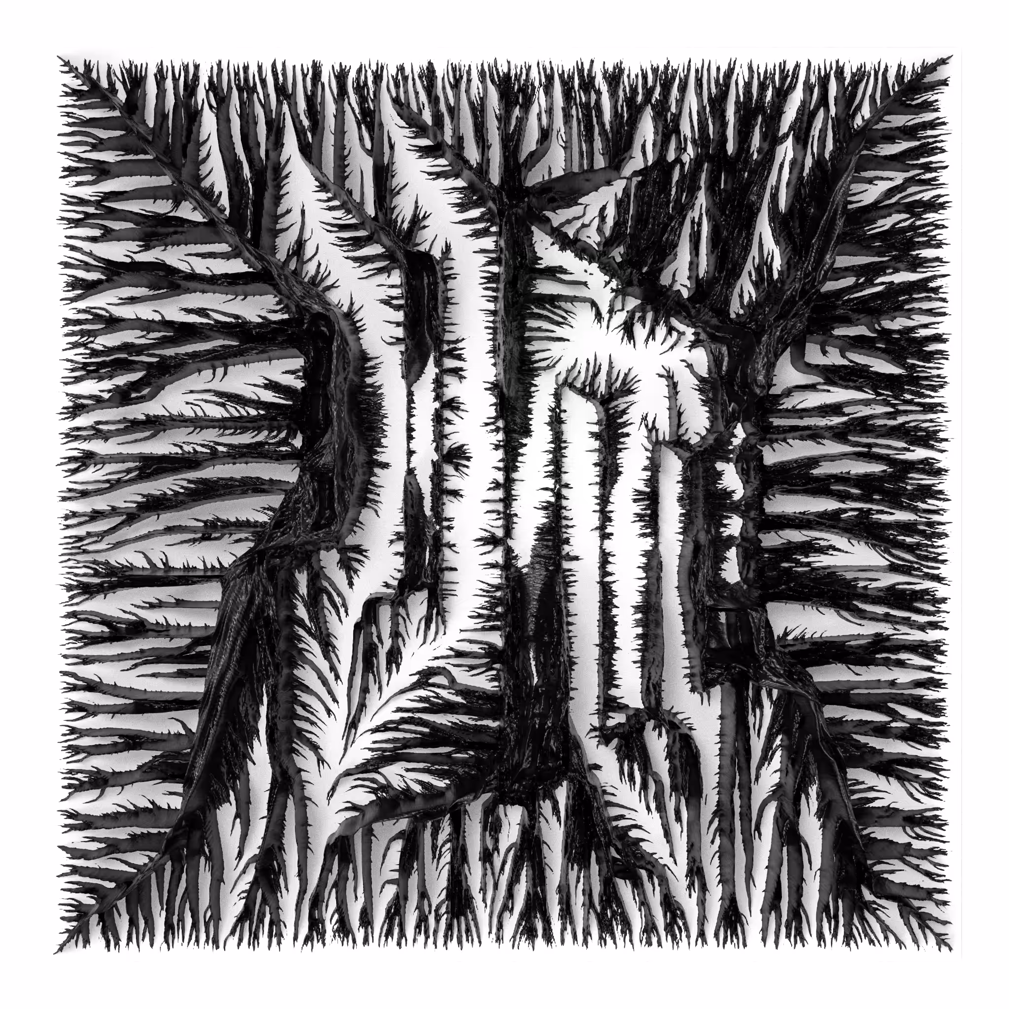 Algoscapes [Monochrome]: BW Algoscapes 22