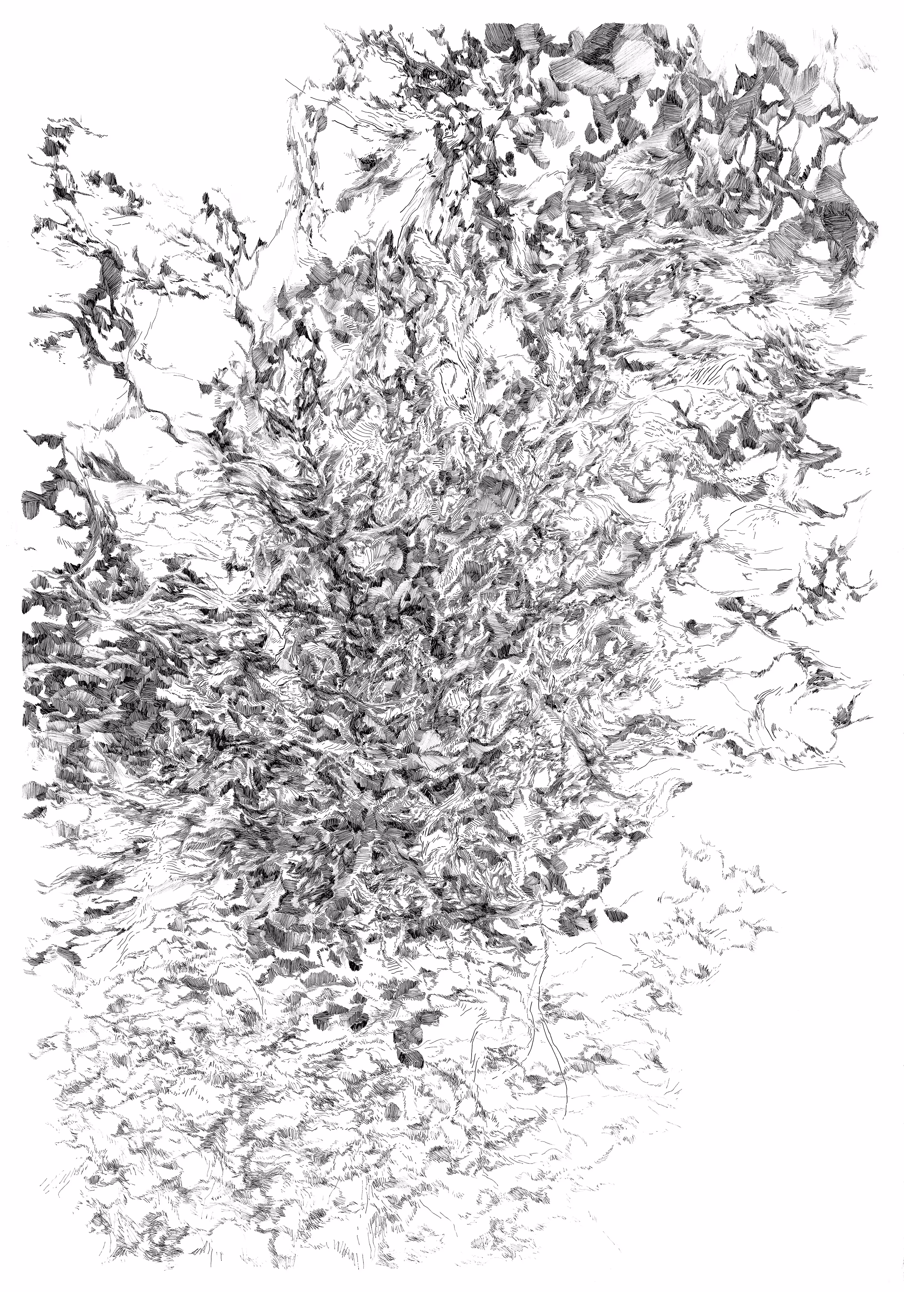 RLB-2232