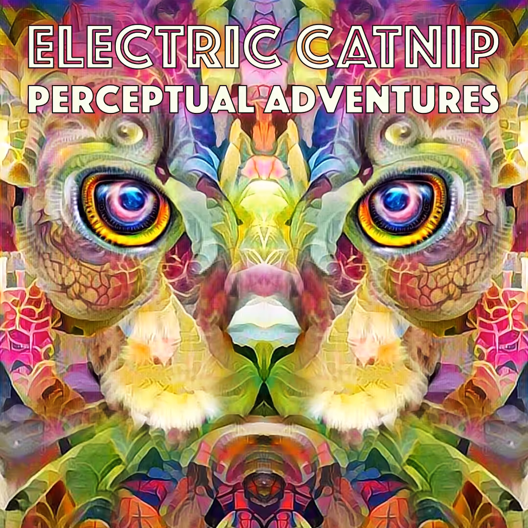 Electric Catnip: Perceptual Adventures Album Cover