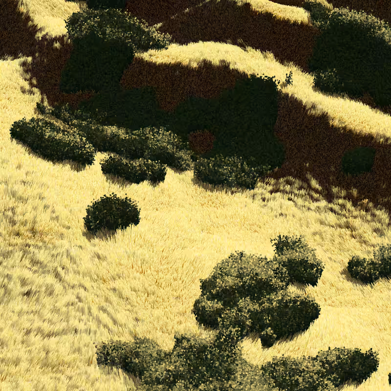 California Hills in Late Sun #16