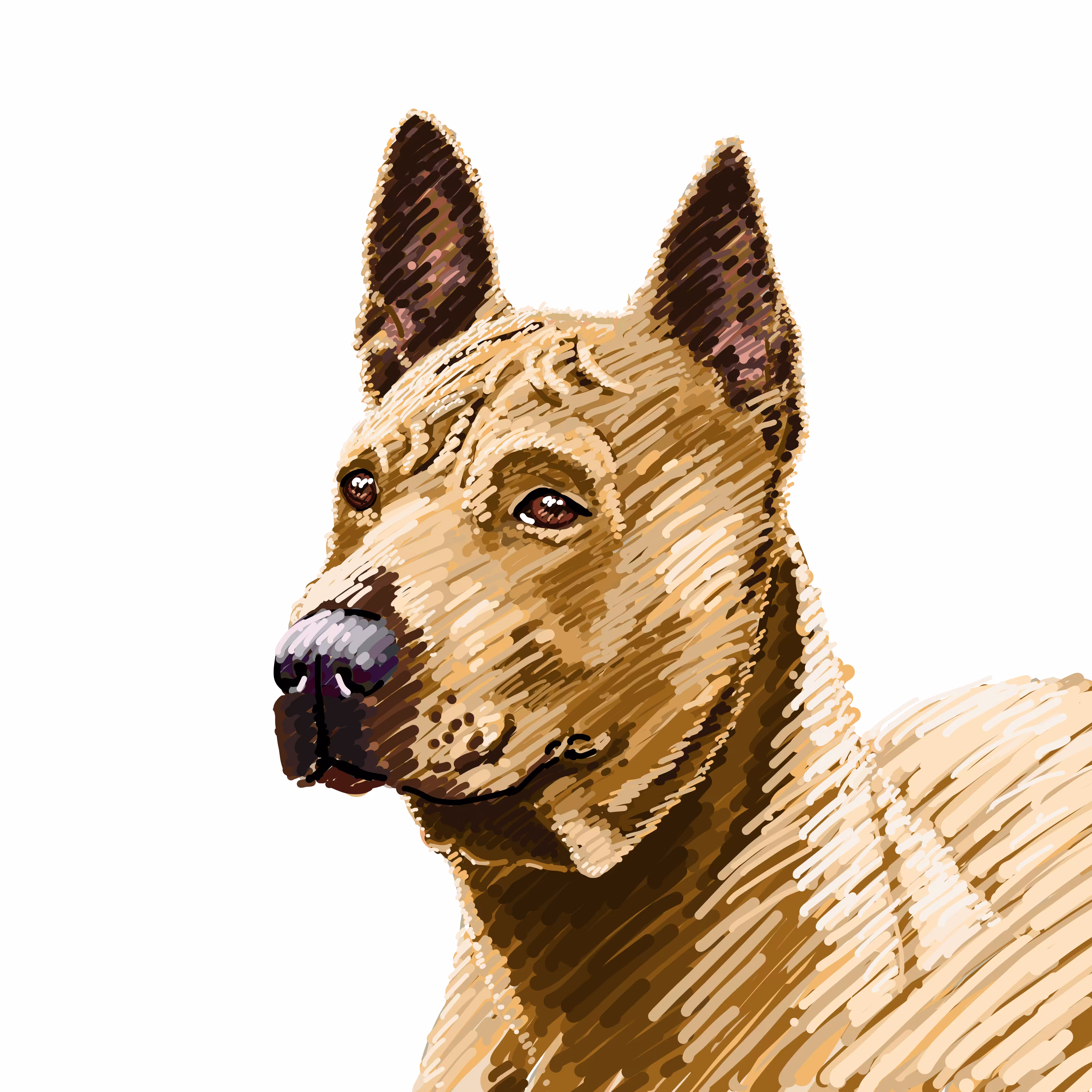 Thai Ridgeback
