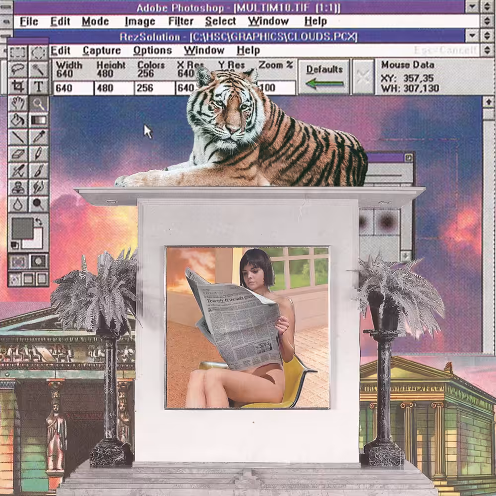 Voyeur Snap