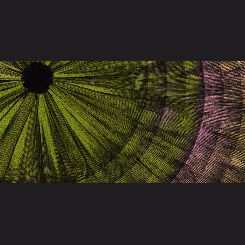 Chameleon #19