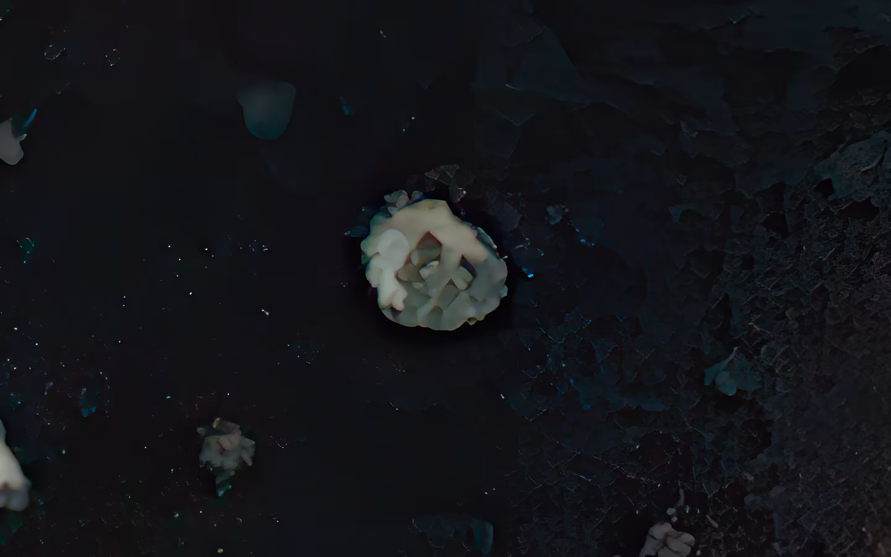 4.3.wd_0-stem1