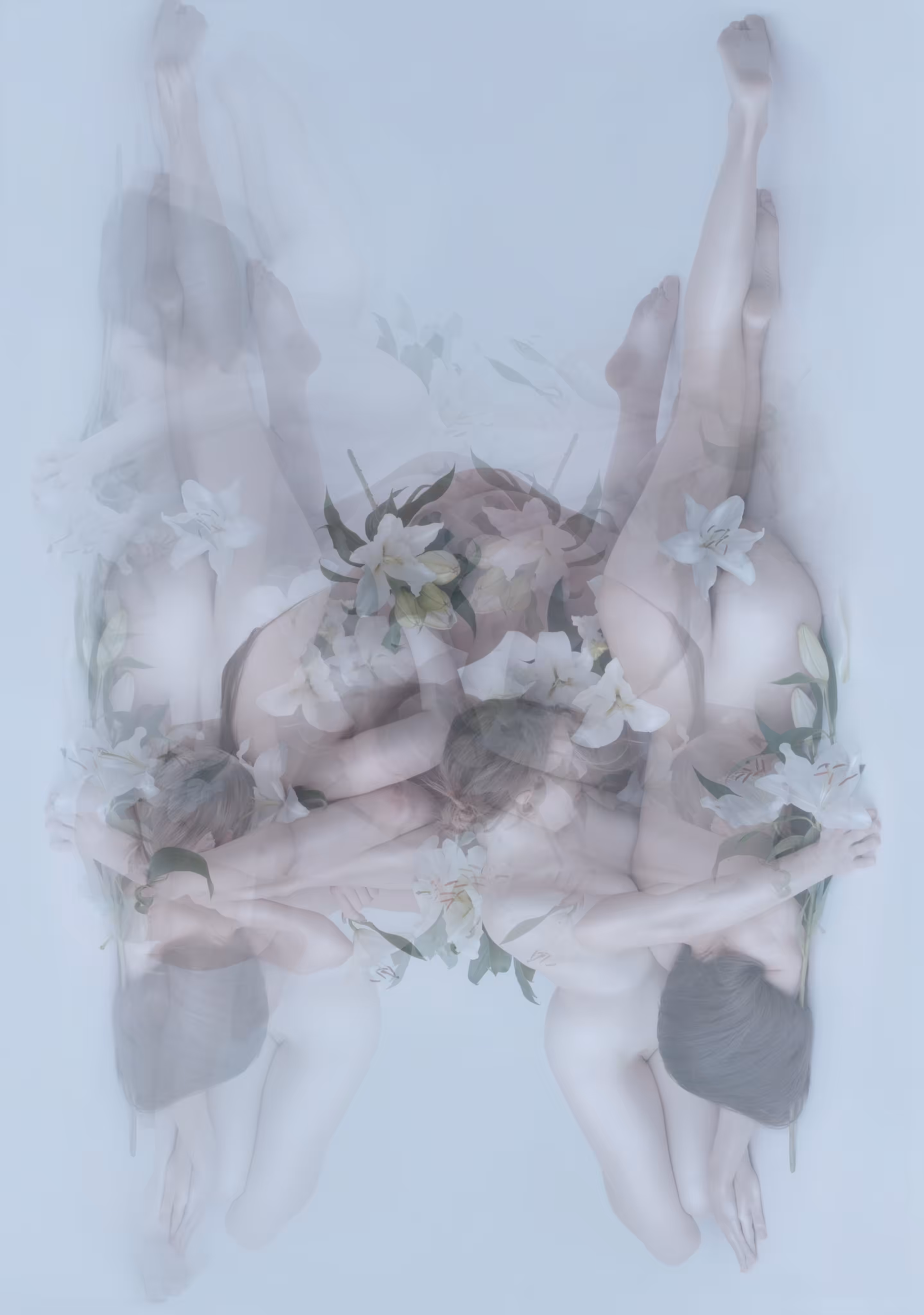 Echo #6